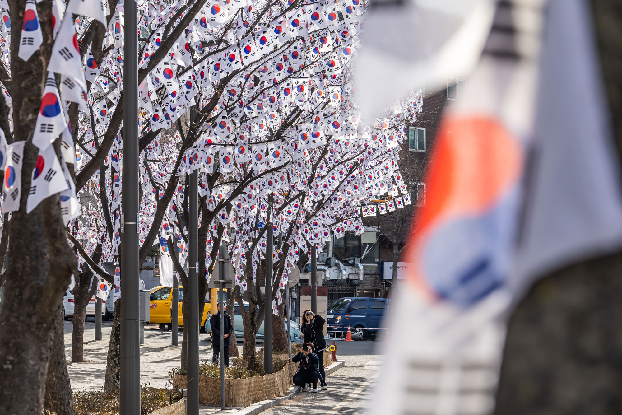 사회;공휴일;역사;3.1절;삼일절;삼일절태극기거리;효창공원태극기거리;3.1절태극기거리
