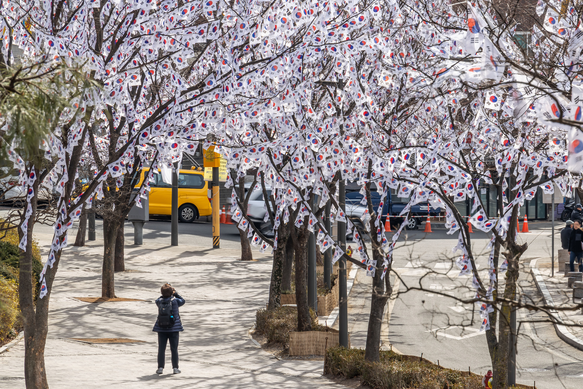 사회;공휴일;역사;3.1절;삼일절;삼일절태극기거리;효창공원태극기거리;3.1절태극기거리