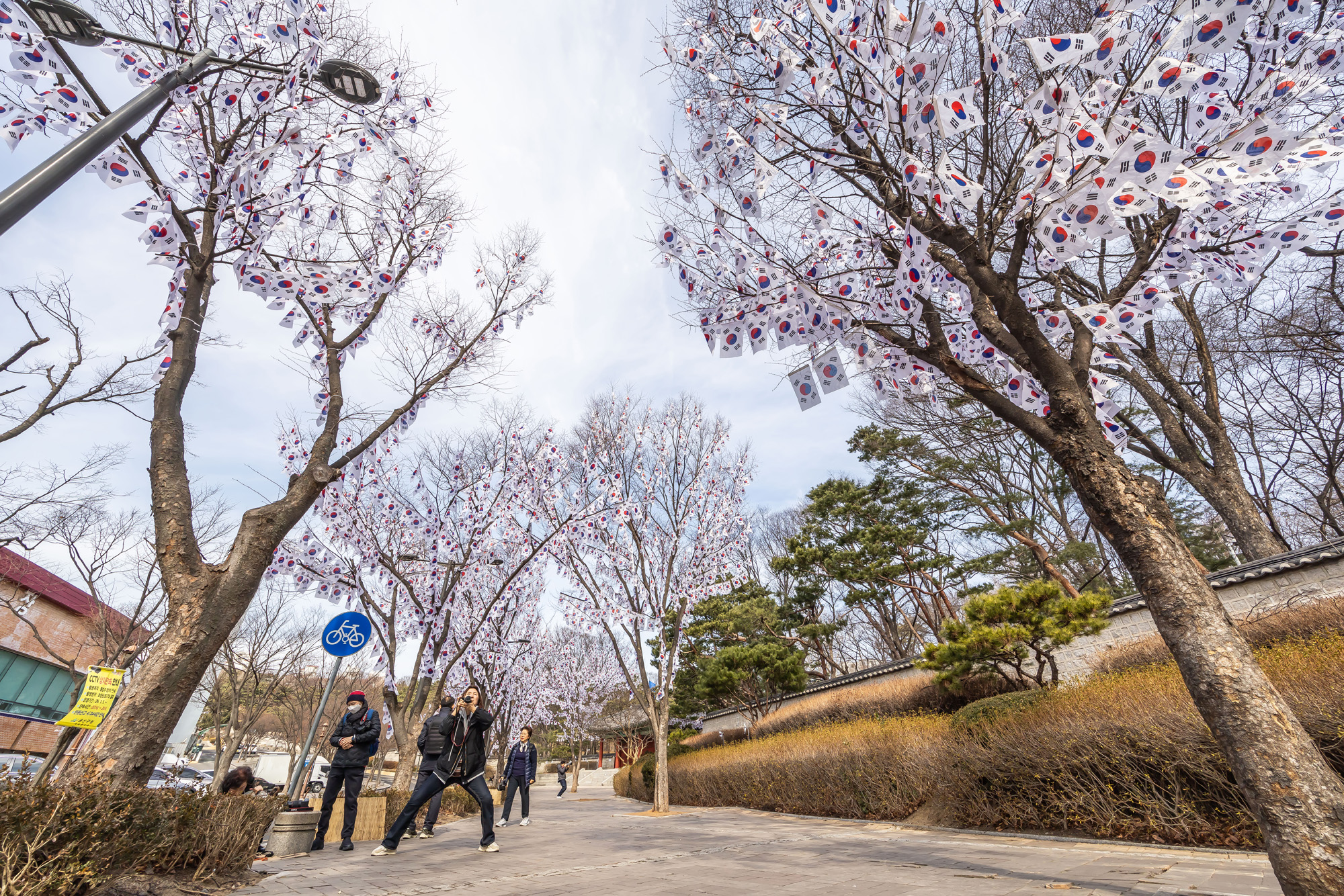 사회;공휴일;역사;3.1절;삼일절;삼일절태극기거리;효창공원태극기거리;3.1절태극기거리
