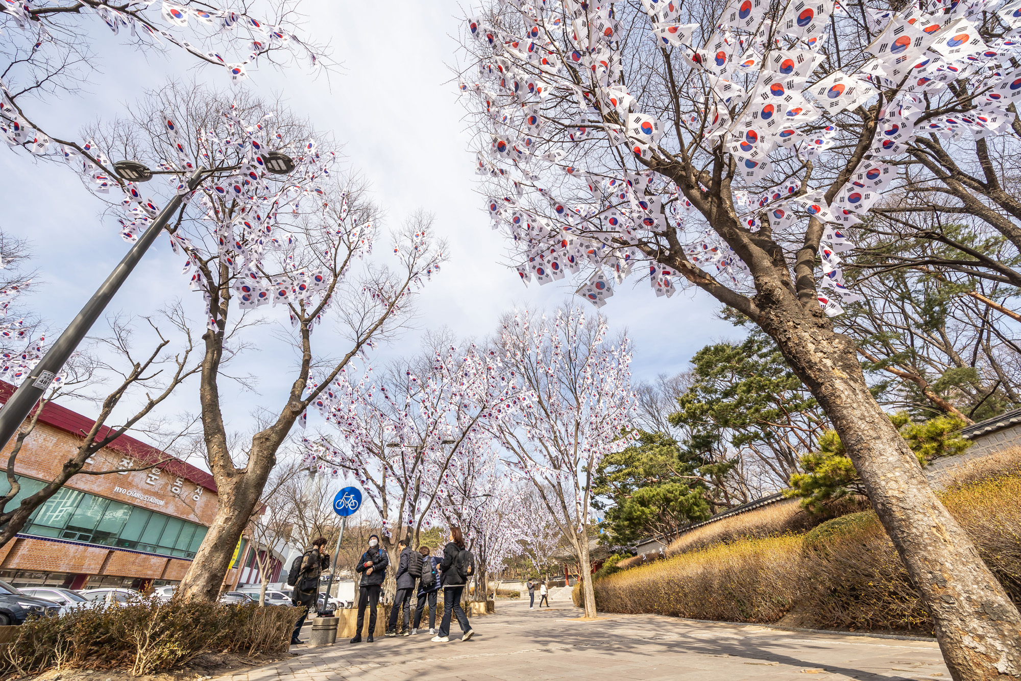 사회;공휴일;역사;3.1절;삼일절;삼일절태극기거리;효창공원태극기거리;3.1절태극기거리
