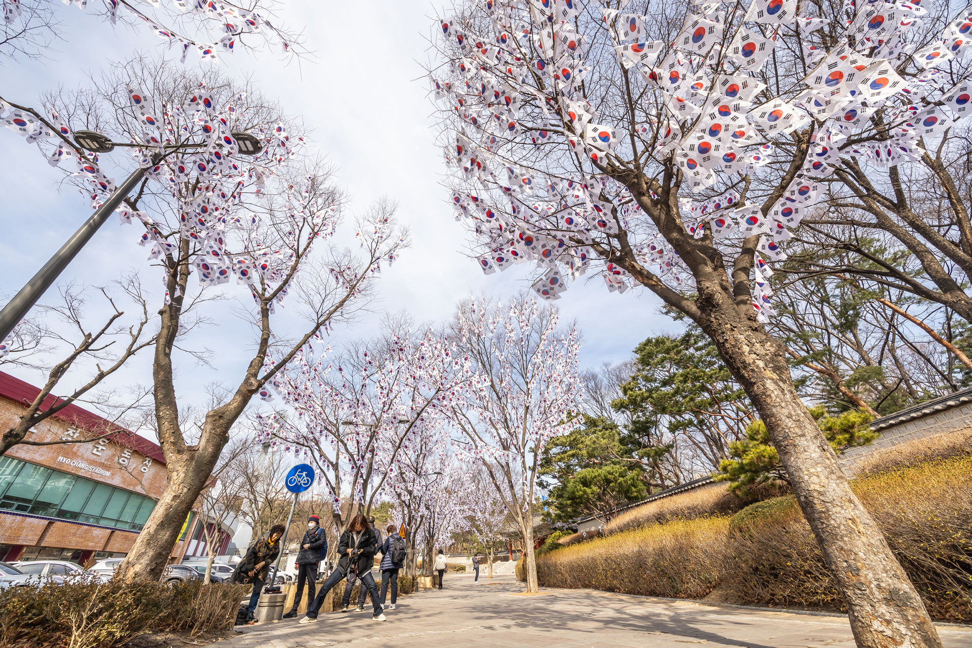 사회;공휴일;역사;3.1절;삼일절;삼일절태극기거리;효창공원태극기거리;3.1절태극기거리