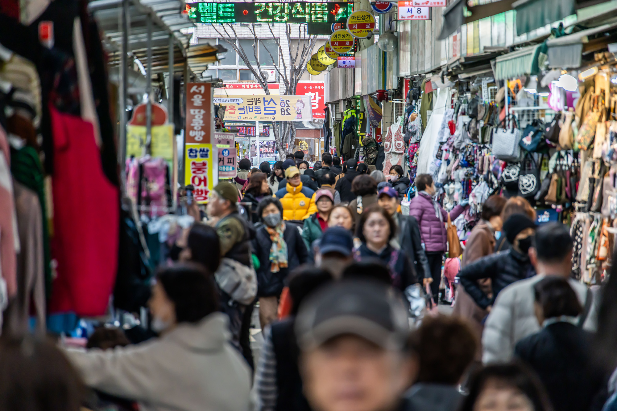 정치;영남권민심;국민의힘텃밭;국민의힘TK민심;대구민심;대구서문시장;대구동성로;동대구역;보수지역민심;보수의심장대구;보수의방어선대구
