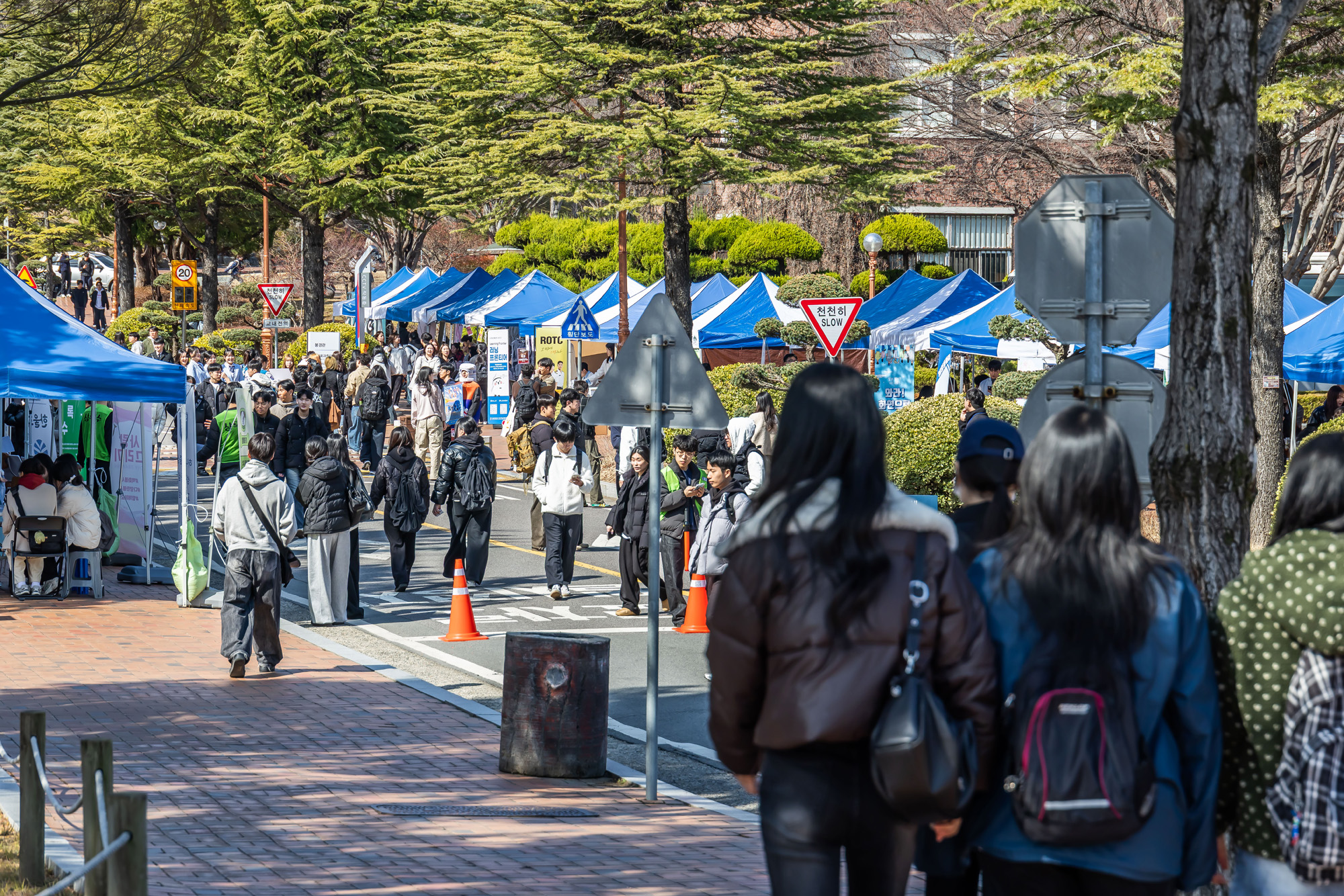 정치;영남권민심;국민의힘텃밭;국민의힘TK민심;대구민심;대구계명대학교;대구성서산업단지;보수지역민심;보수의심장대구;보수의방어선대구