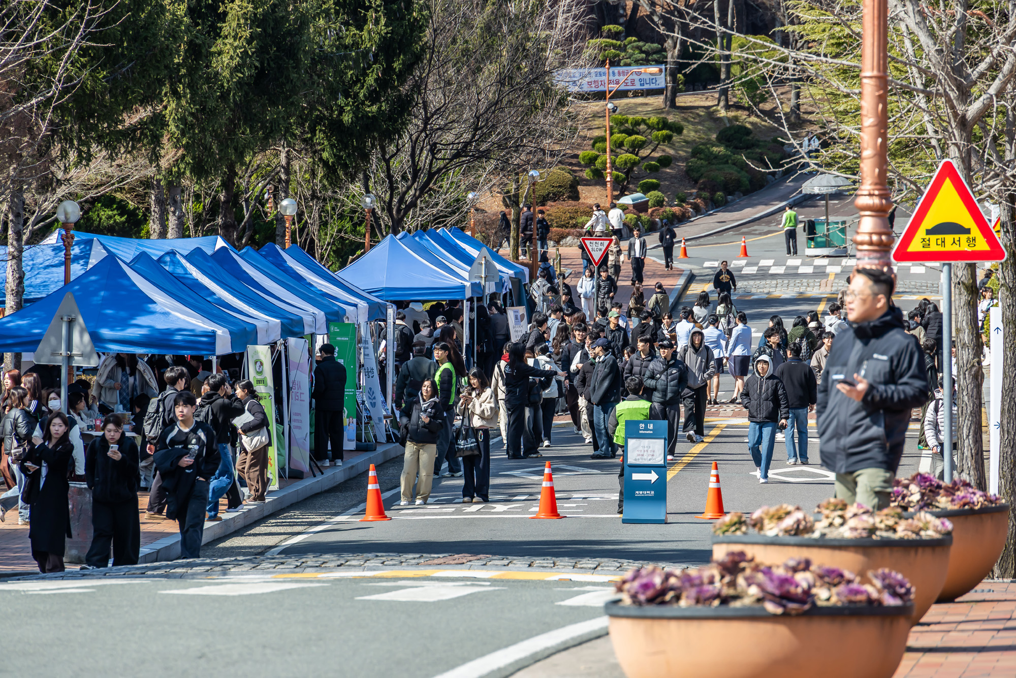 정치;영남권민심;국민의힘텃밭;국민의힘TK민심;대구민심;대구계명대학교;대구성서산업단지;보수지역민심;보수의심장대구;보수의방어선대구