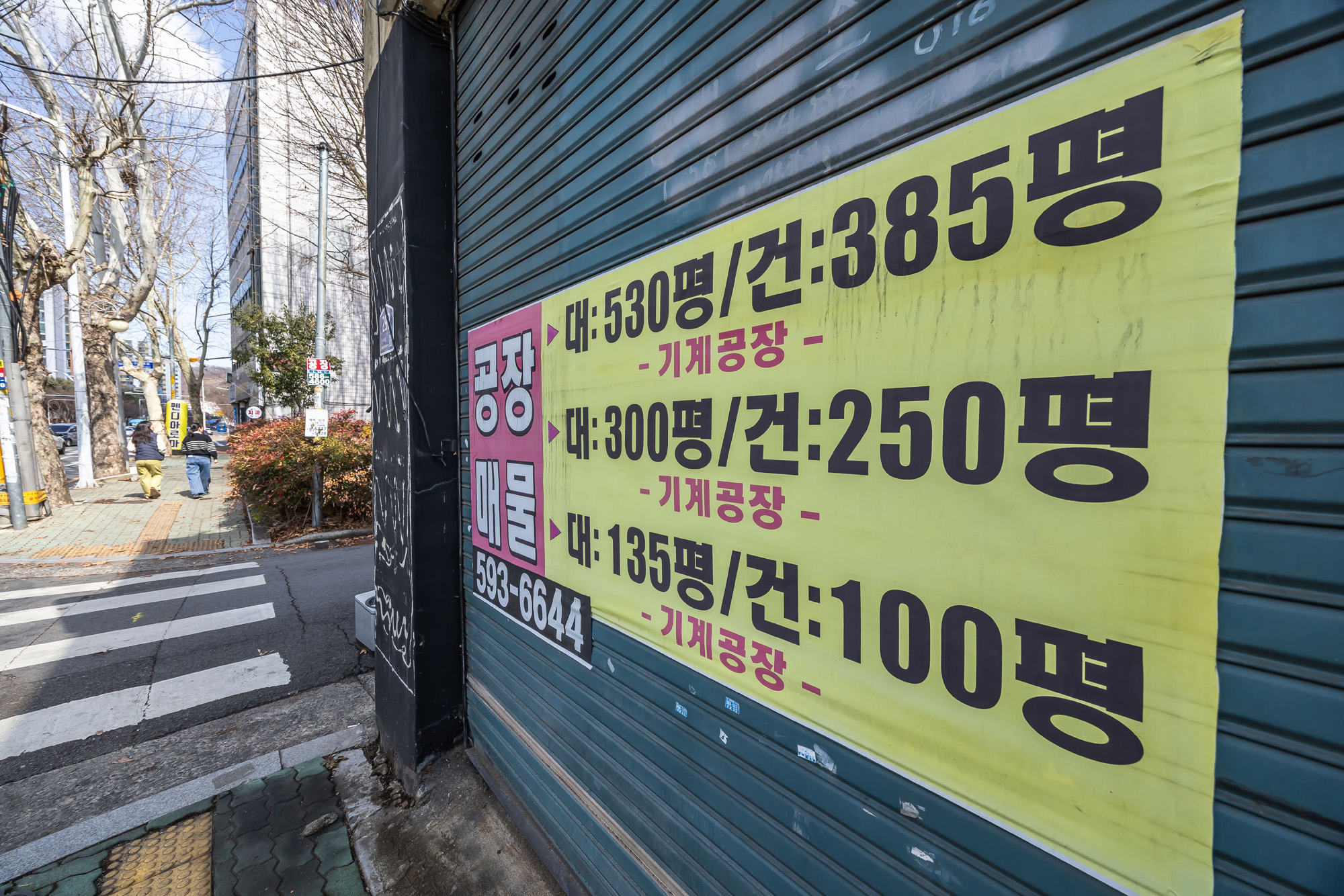 정치;영남권민심;국민의힘텃밭;국민의힘TK민심;대구민심;대구계명대학교;대구성서산업단지;보수지역민심;보수의심장대구;보수의방어선대구
