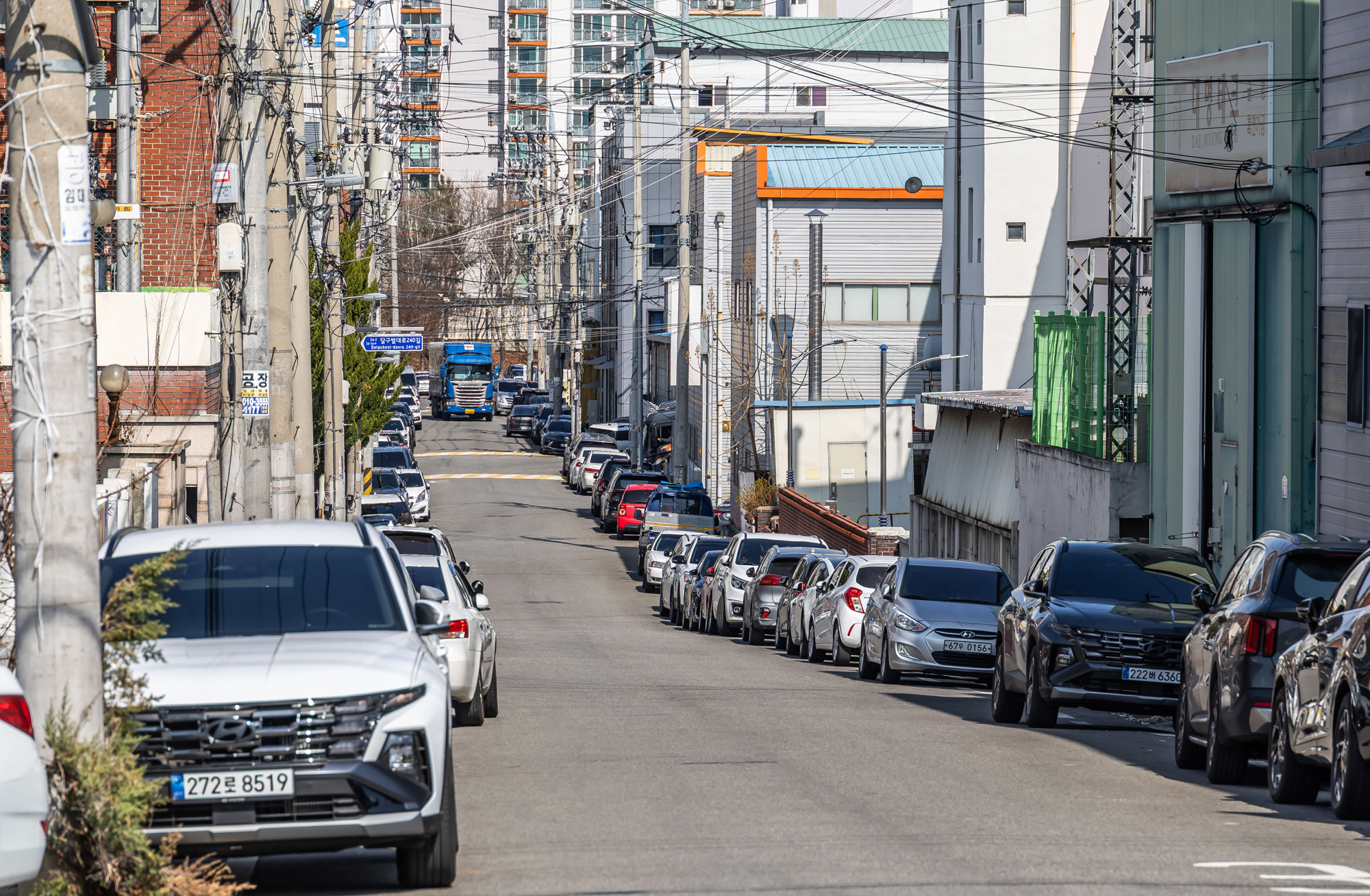 정치;영남권민심;국민의힘텃밭;국민의힘TK민심;대구민심;대구계명대학교;대구성서산업단지;보수지역민심;보수의심장대구;보수의방어선대구