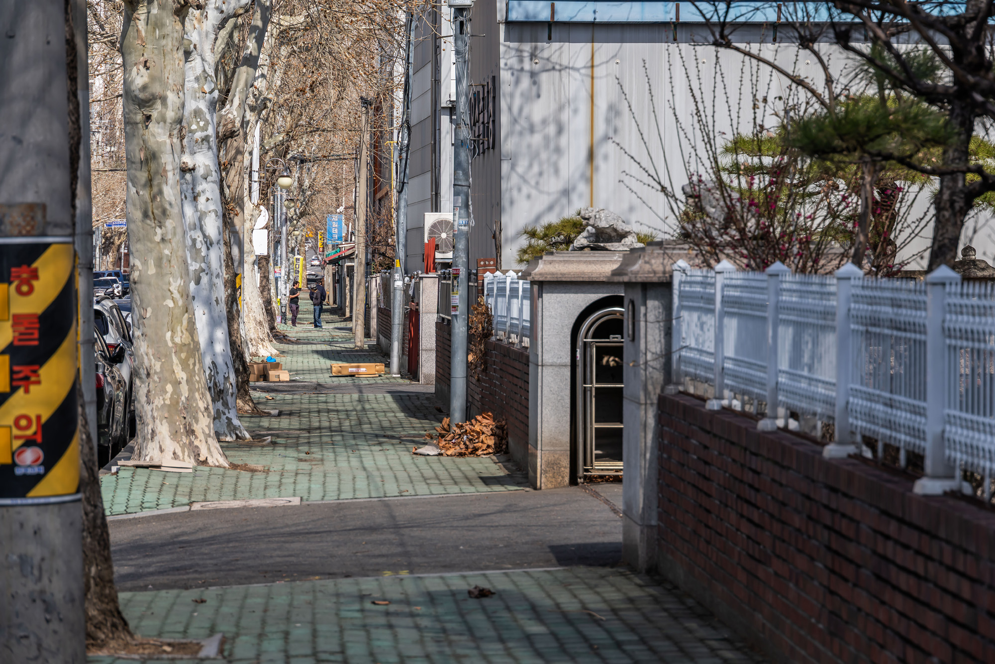 정치;영남권민심;국민의힘텃밭;국민의힘TK민심;대구민심;대구계명대학교;대구성서산업단지;보수지역민심;보수의심장대구;보수의방어선대구