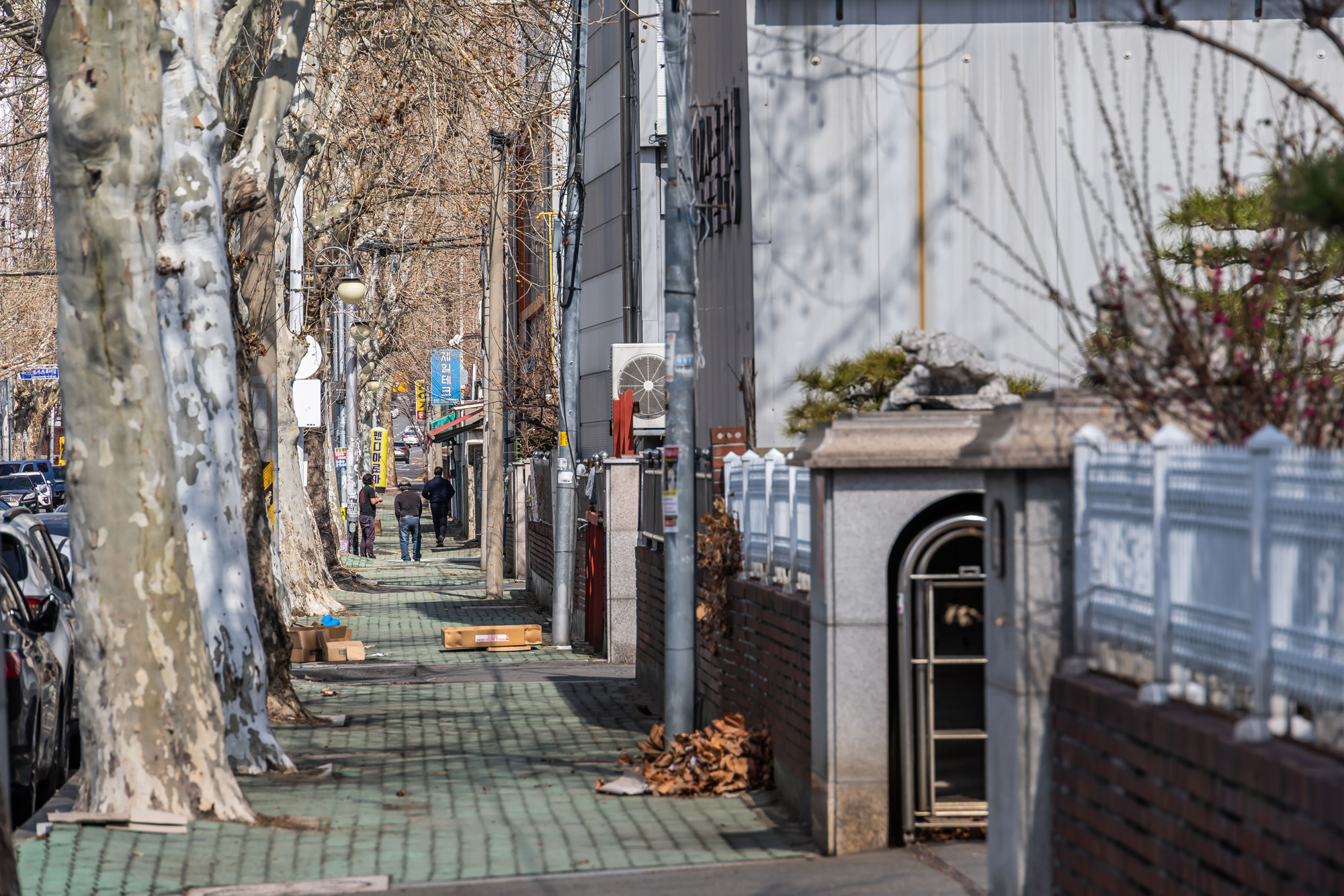 정치;영남권민심;국민의힘텃밭;국민의힘TK민심;대구민심;대구계명대학교;대구성서산업단지;보수지역민심;보수의심장대구;보수의방어선대구