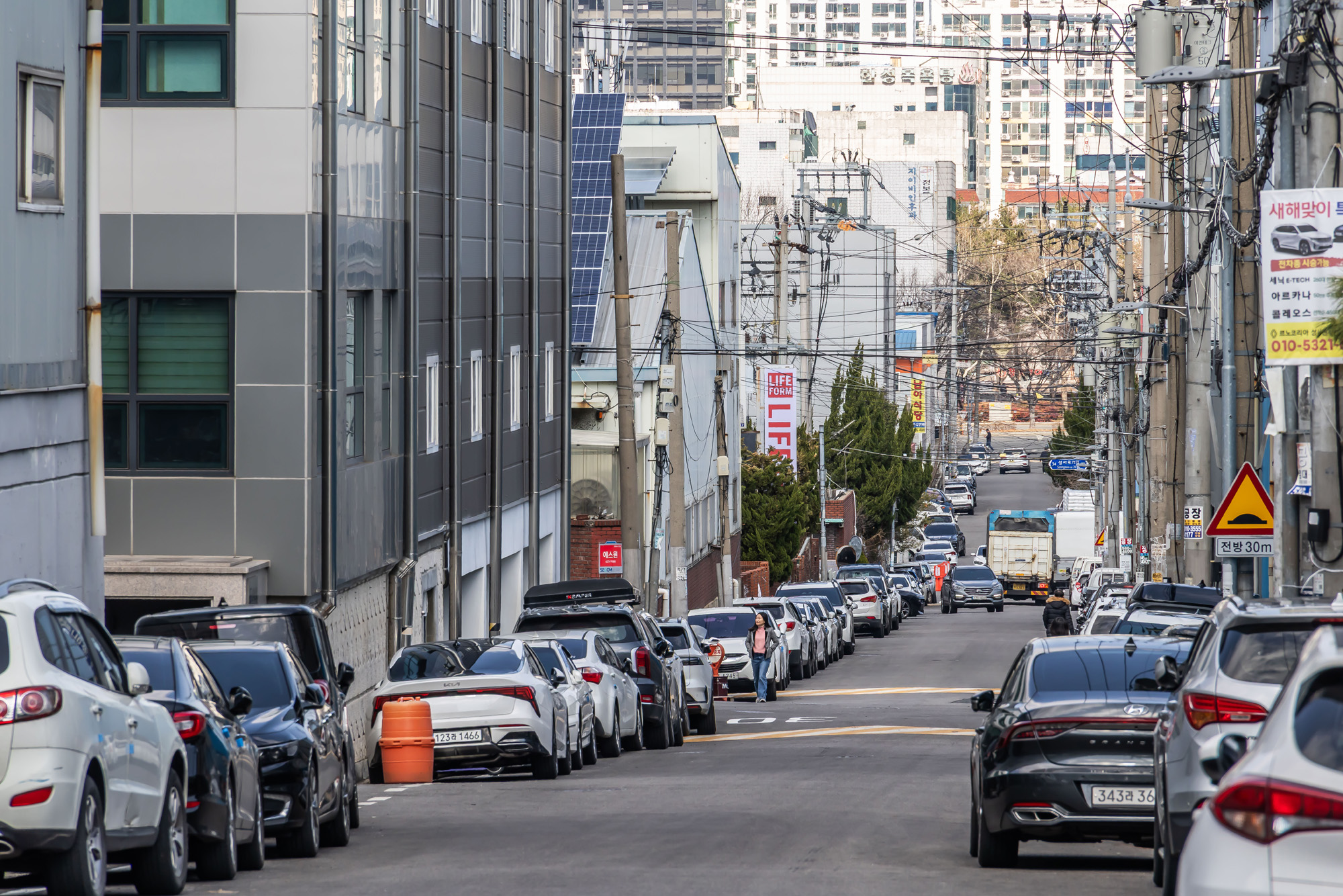 정치;영남권민심;국민의힘텃밭;국민의힘TK민심;대구민심;대구계명대학교;대구성서산업단지;보수지역민심;보수의심장대구;보수의방어선대구