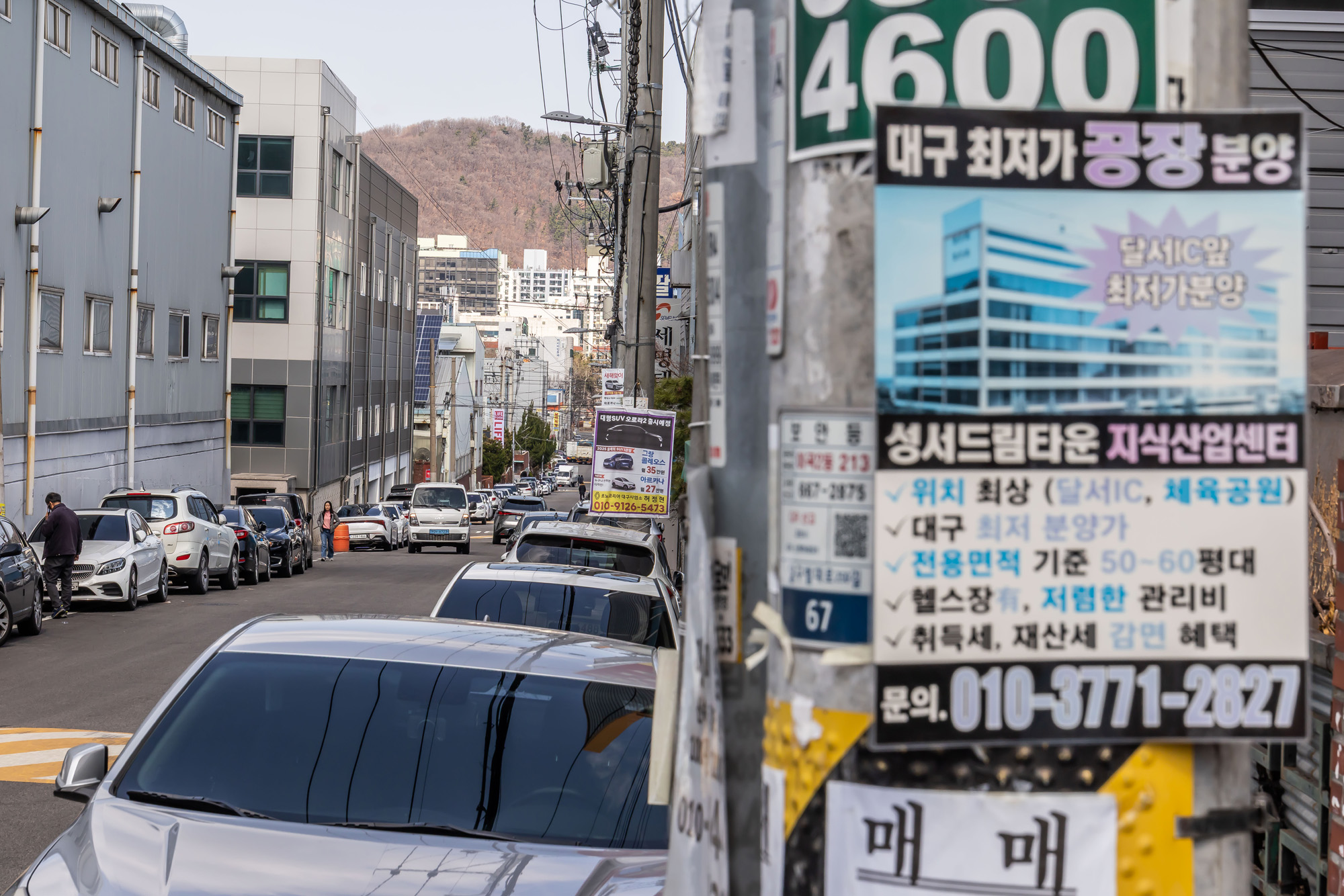 정치;영남권민심;국민의힘텃밭;국민의힘TK민심;대구민심;대구계명대학교;대구성서산업단지;보수지역민심;보수의심장대구;보수의방어선대구