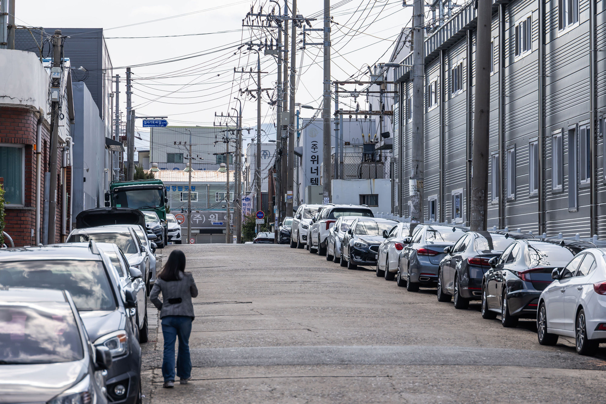 정치;영남권민심;국민의힘텃밭;국민의힘TK민심;대구민심;대구계명대학교;대구성서산업단지;보수지역민심;보수의심장대구;보수의방어선대구