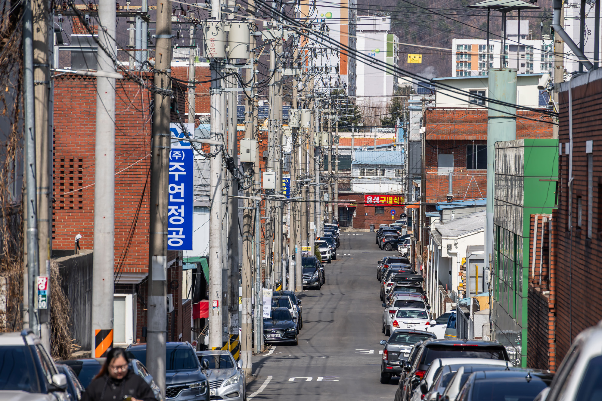 정치;영남권민심;국민의힘텃밭;국민의힘TK민심;대구민심;대구계명대학교;대구성서산업단지;보수지역민심;보수의심장대구;보수의방어선대구