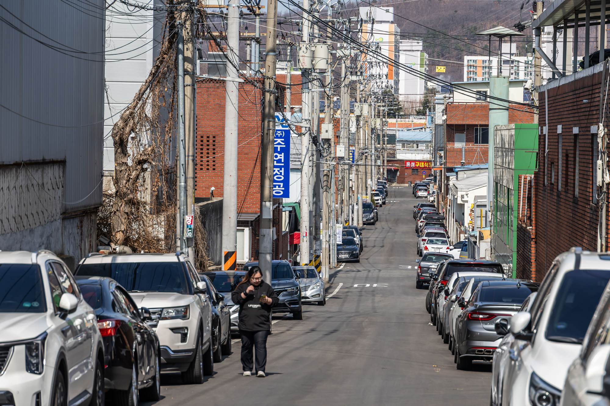 정치;영남권민심;국민의힘텃밭;국민의힘TK민심;대구민심;대구계명대학교;대구성서산업단지;보수지역민심;보수의심장대구;보수의방어선대구