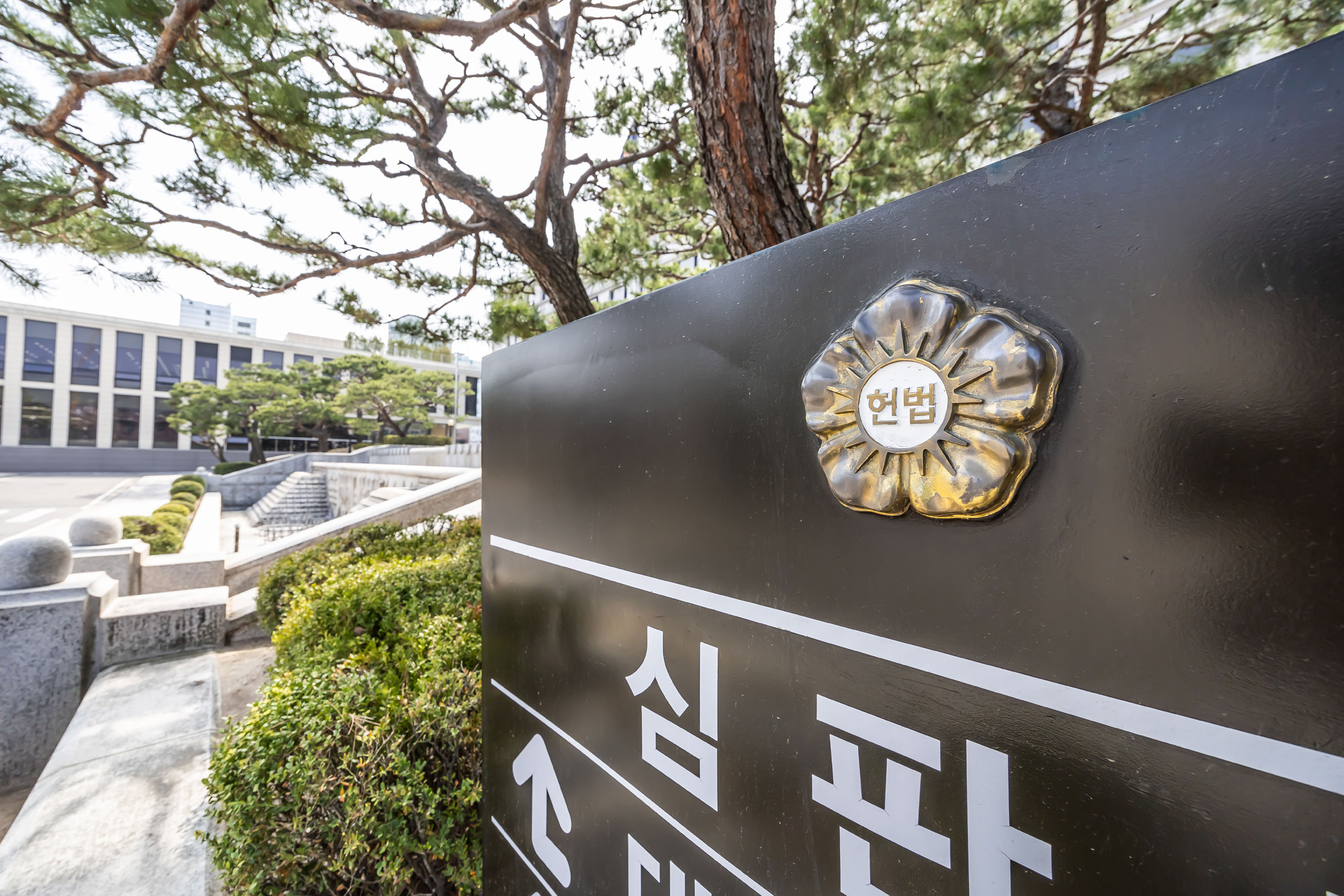 법조;헌재;헌법재판소;헌법재판소재판소원;재판소원도업;재판소원사전심사