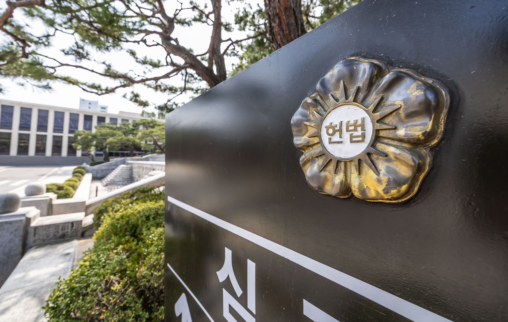 법조;헌재;헌법재판소;헌법재판소재판소원;재판소원도업;재판소원사전심사