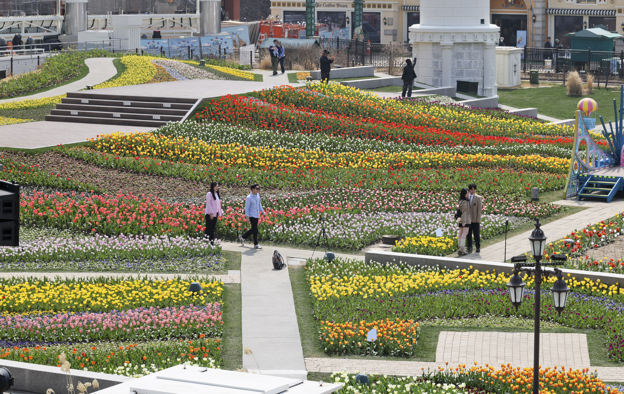 에버랜드;튤립;봄꽃