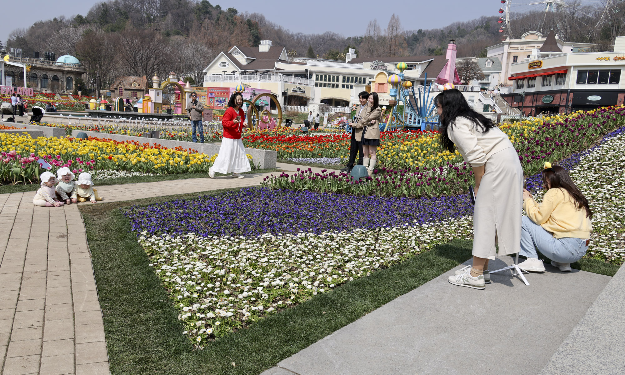 에버랜드;튤립;봄꽃