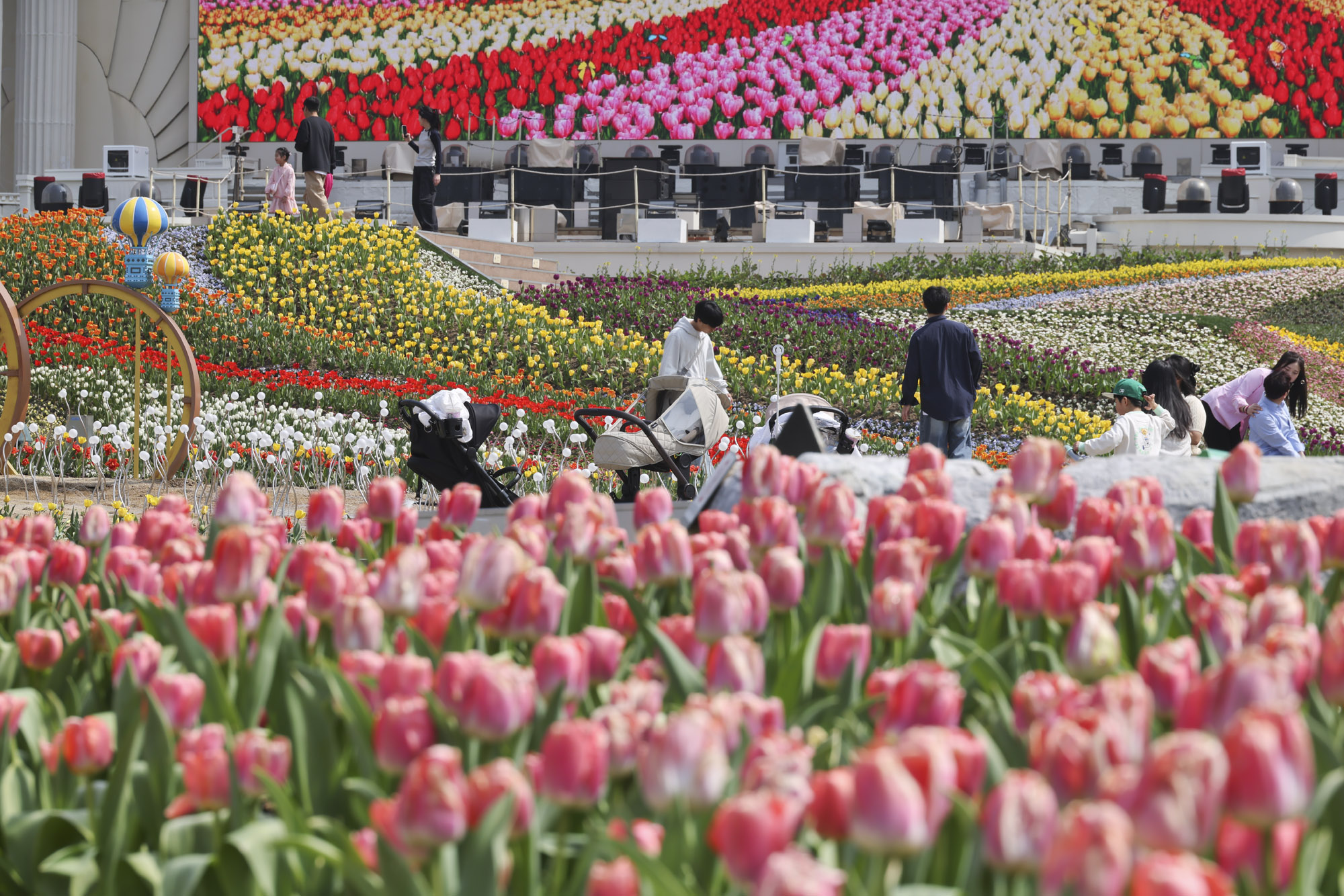 에버랜드;튤립;봄꽃