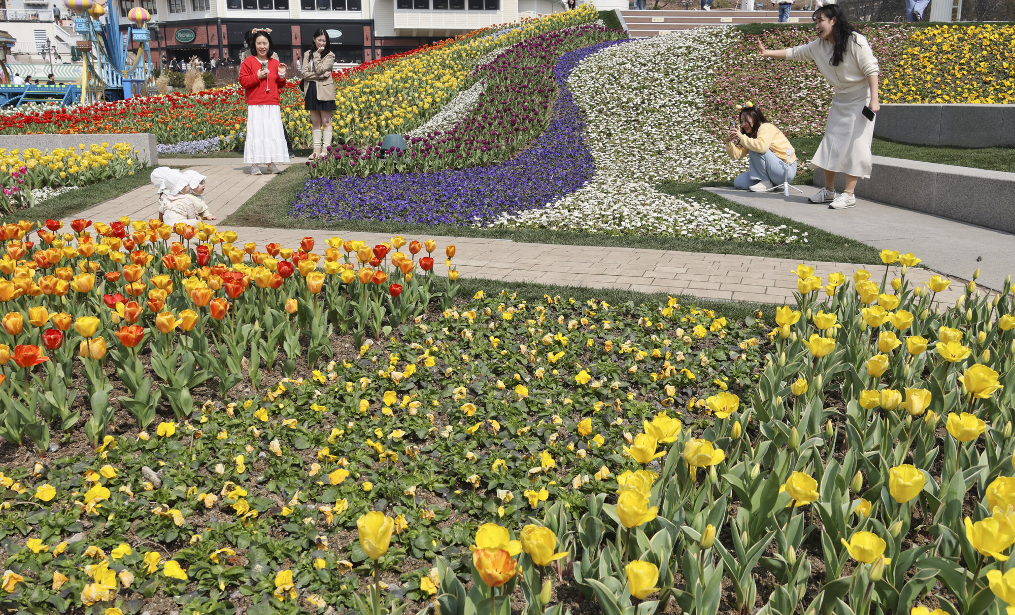 에버랜드;튤립;봄꽃