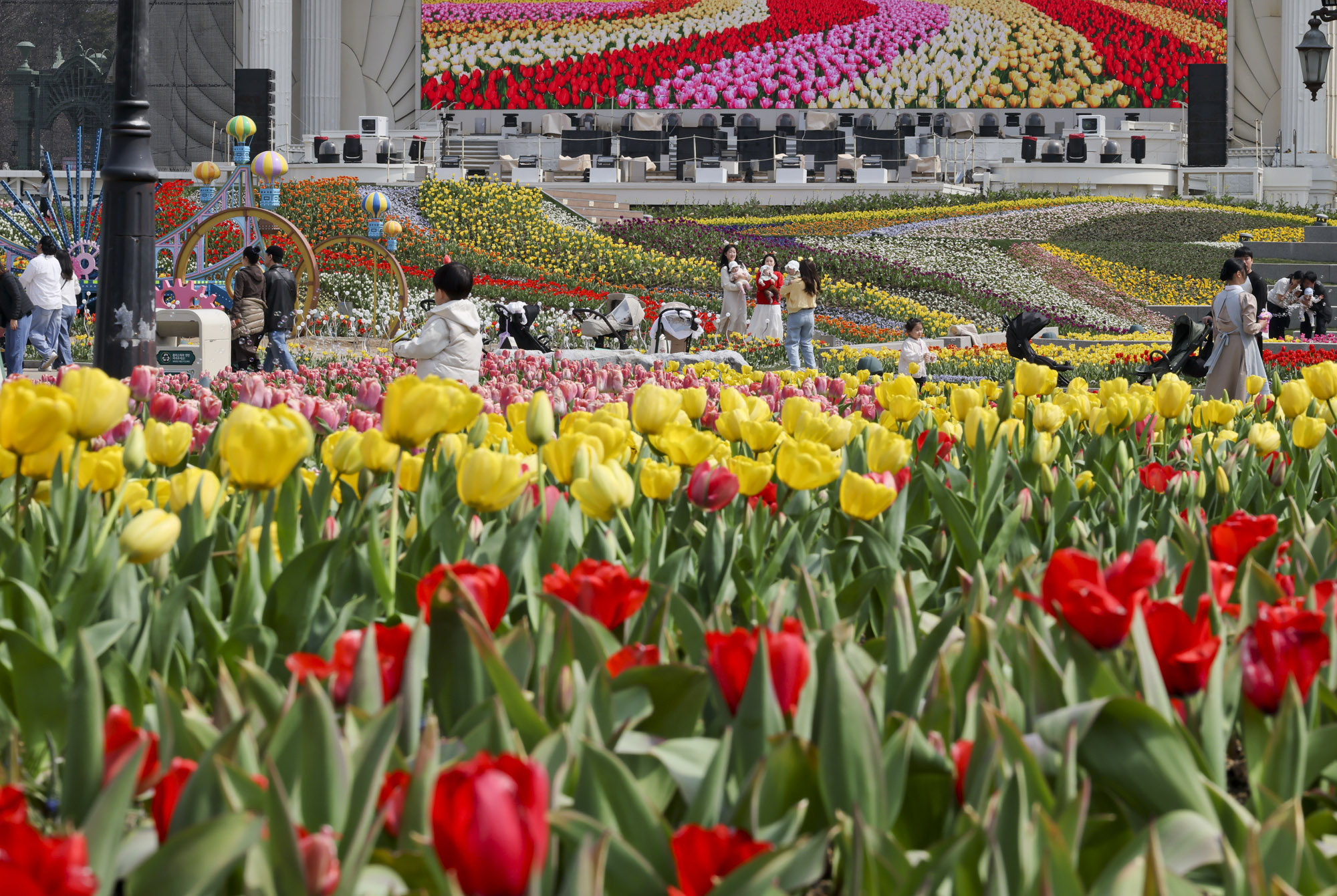 에버랜드;튤립;봄꽃