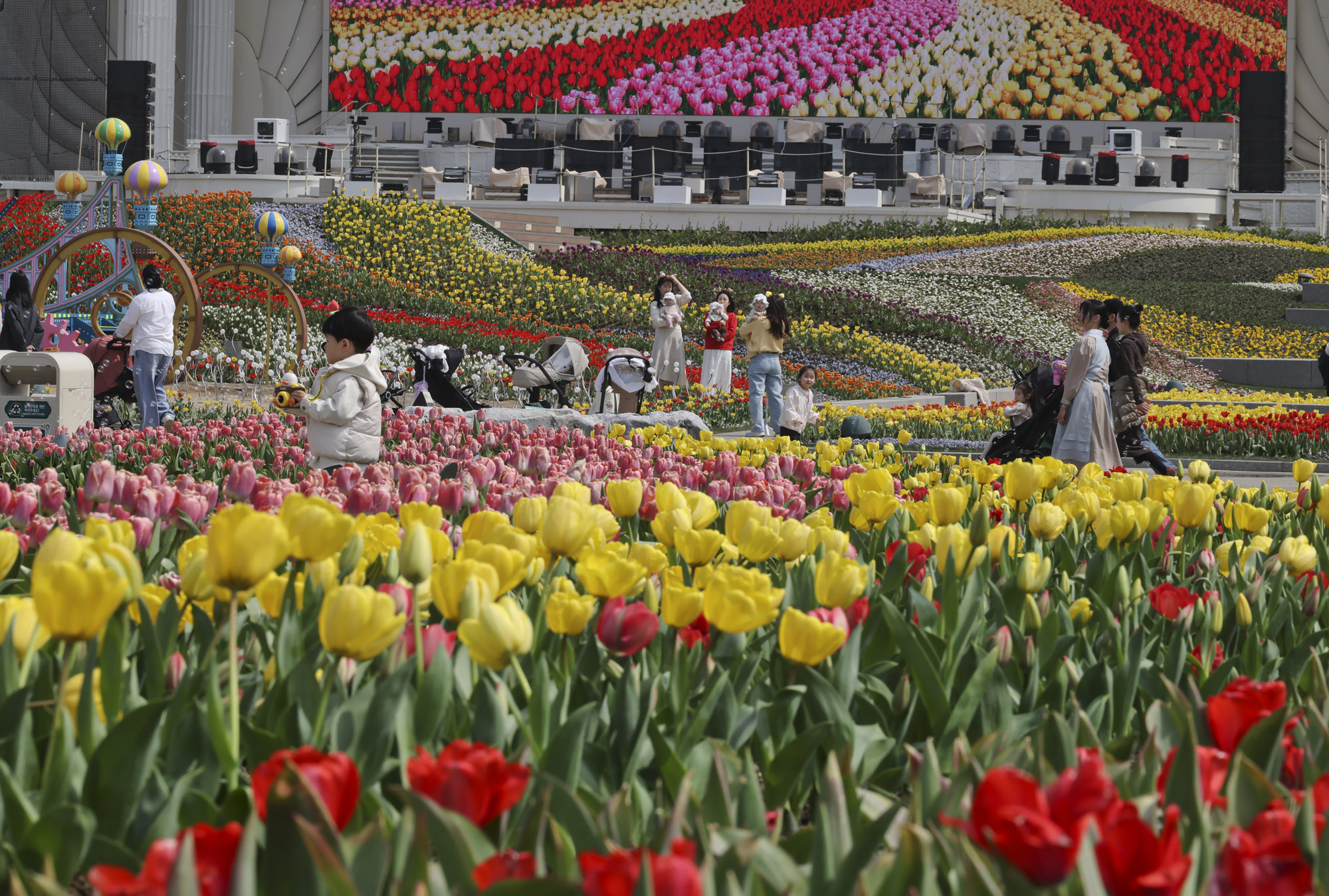 에버랜드;튤립;봄꽃