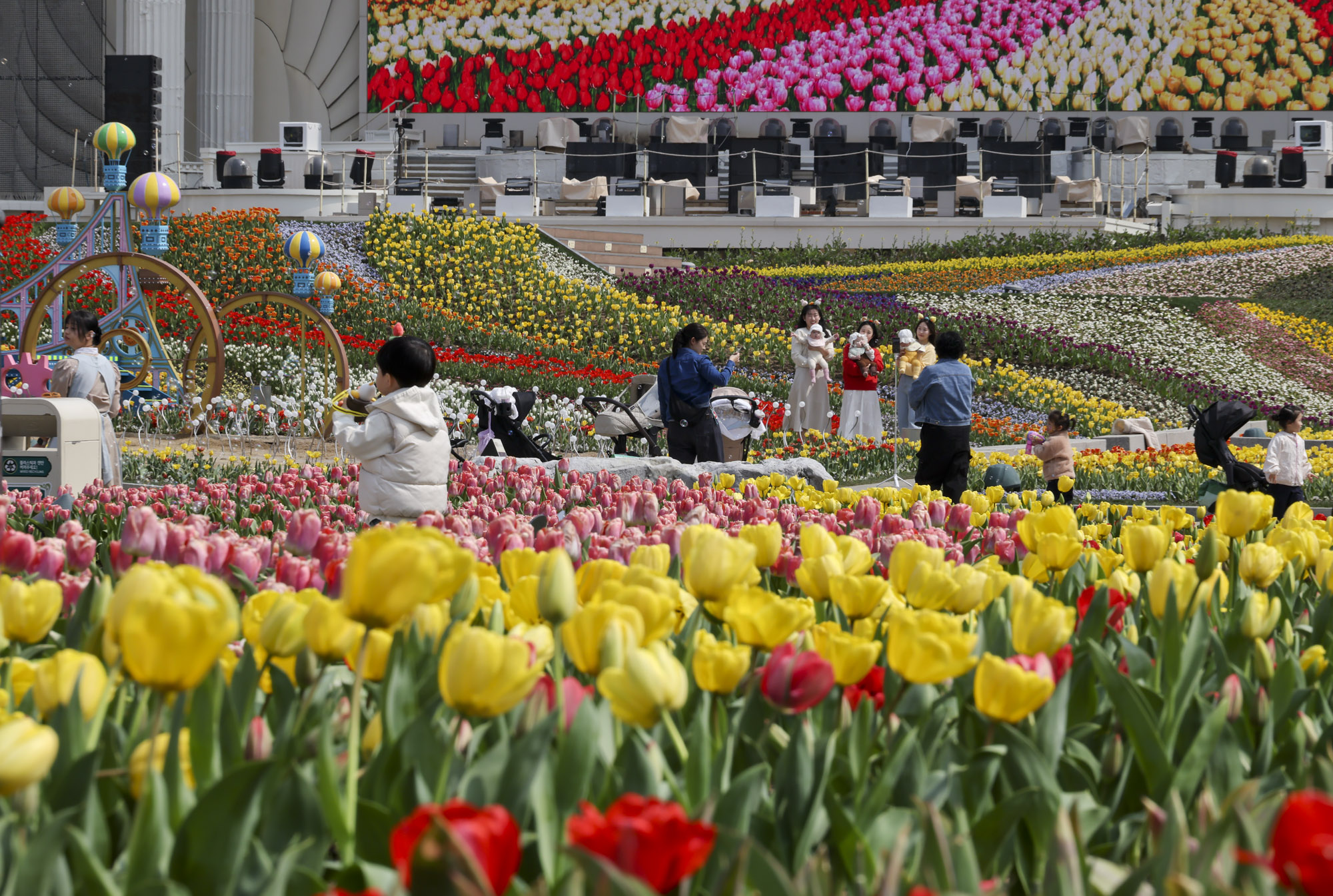 에버랜드;튤립;봄꽃