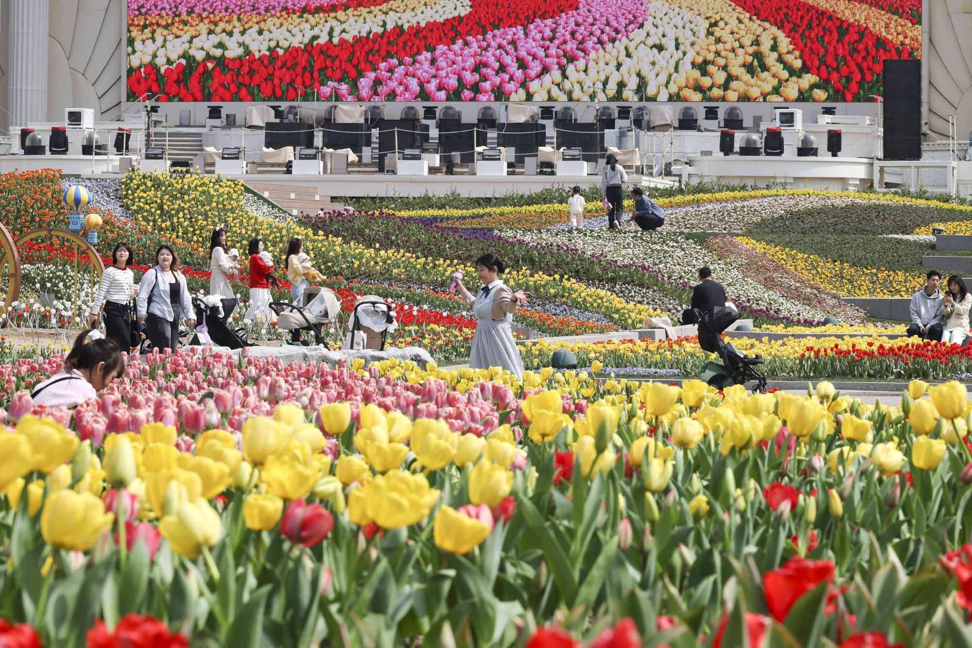 에버랜드;튤립;봄꽃