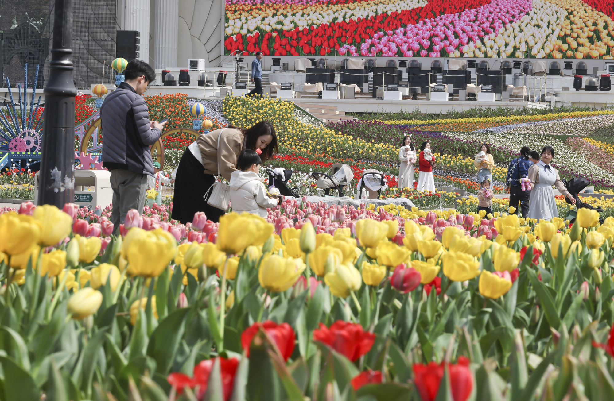 에버랜드;튤립;봄꽃