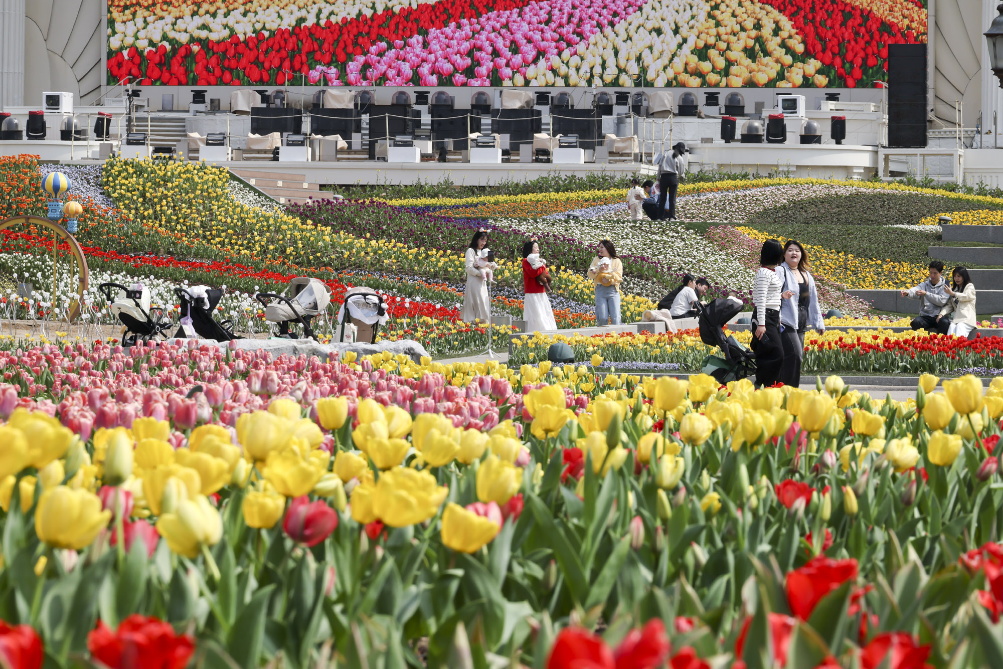 에버랜드;튤립;봄꽃