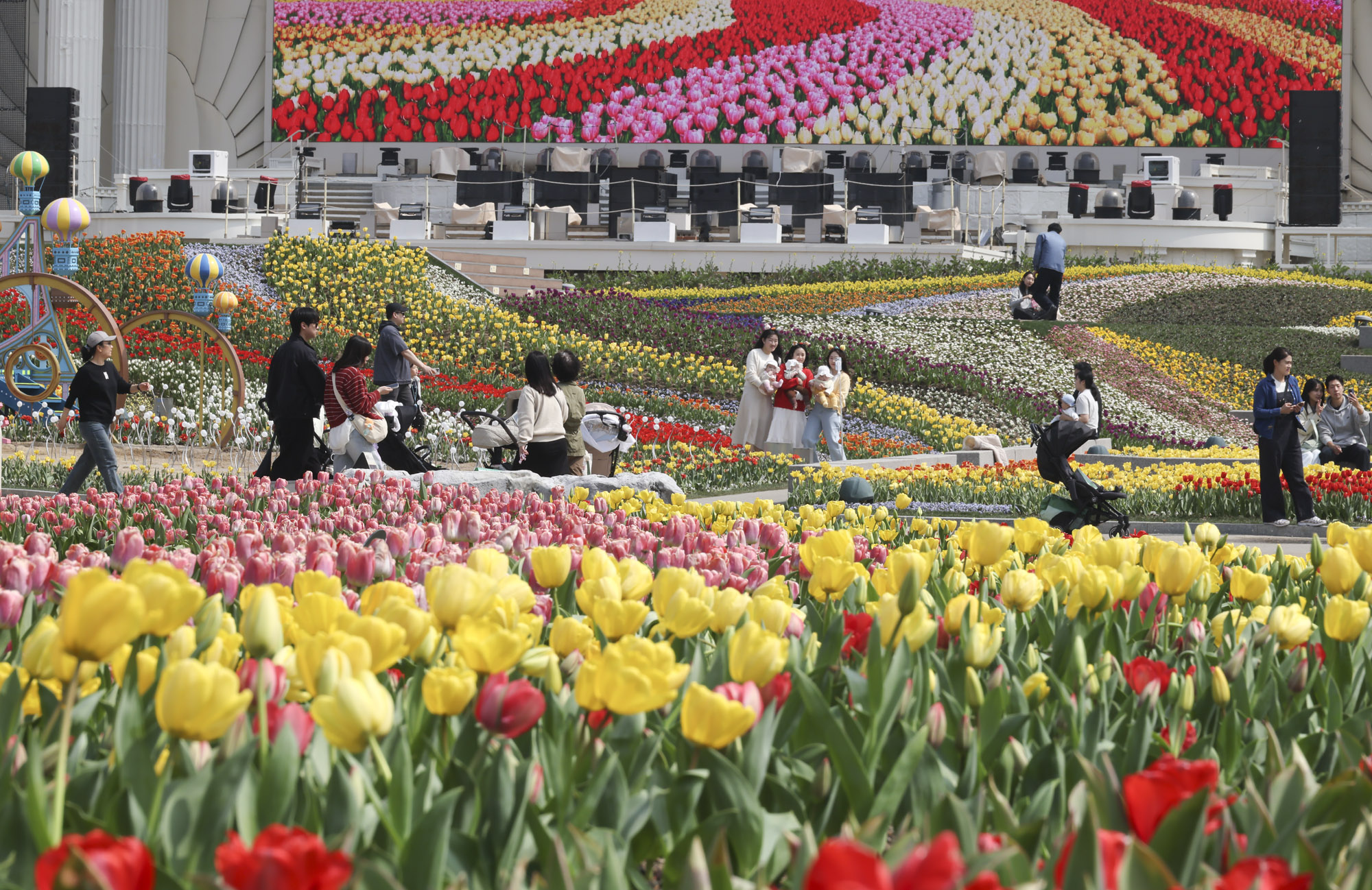 에버랜드;튤립;봄꽃