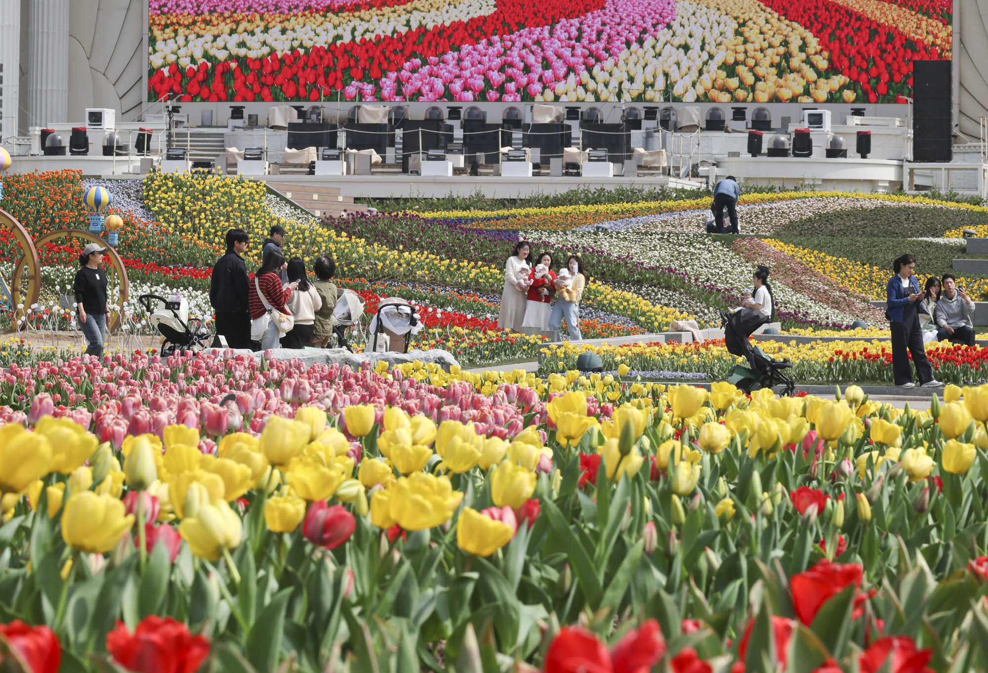 에버랜드;튤립;봄꽃