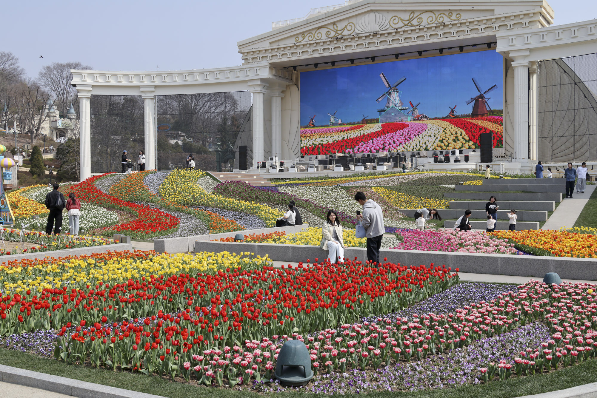 에버랜드;튤립;봄꽃