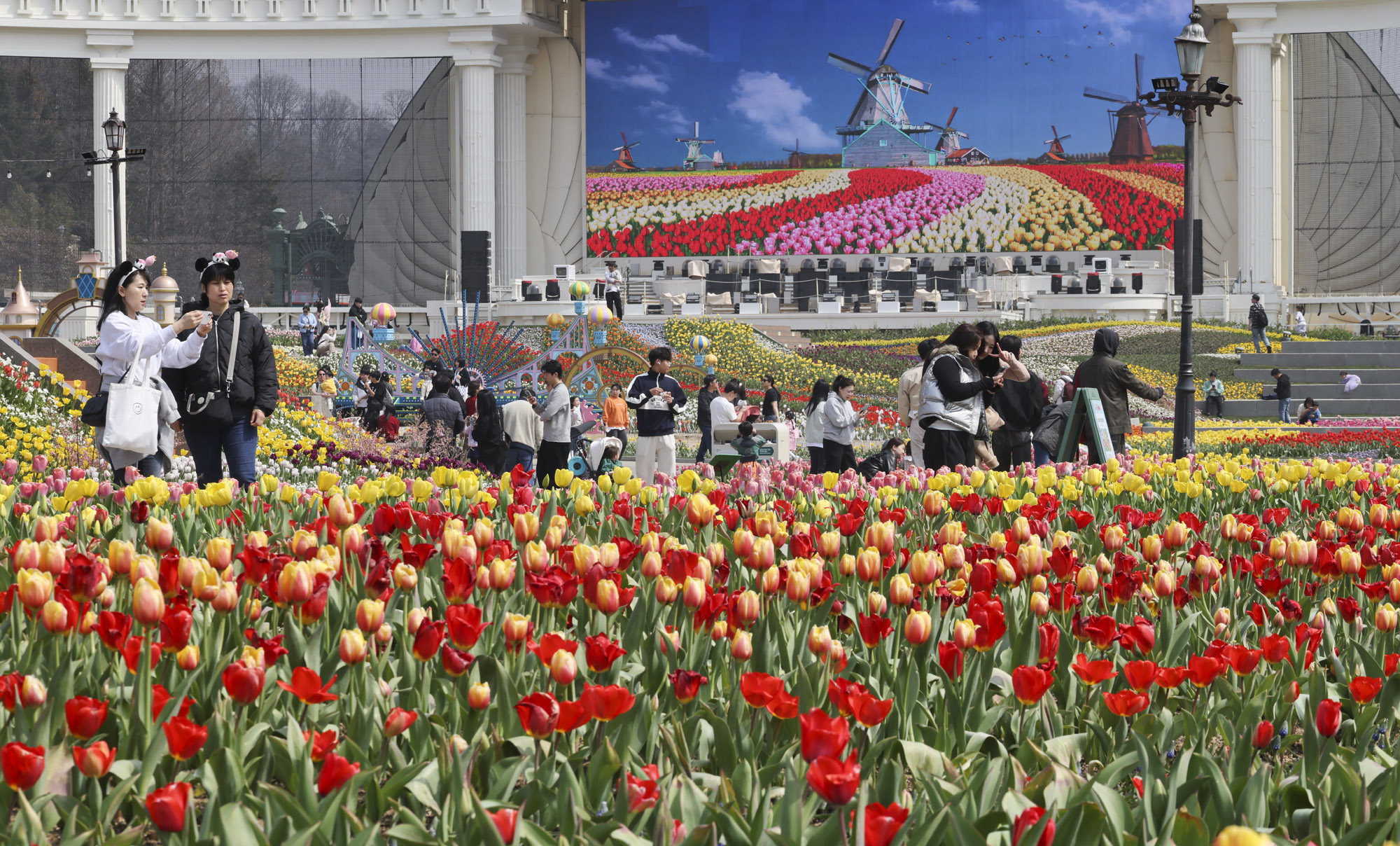 에버랜드;튤립;봄꽃