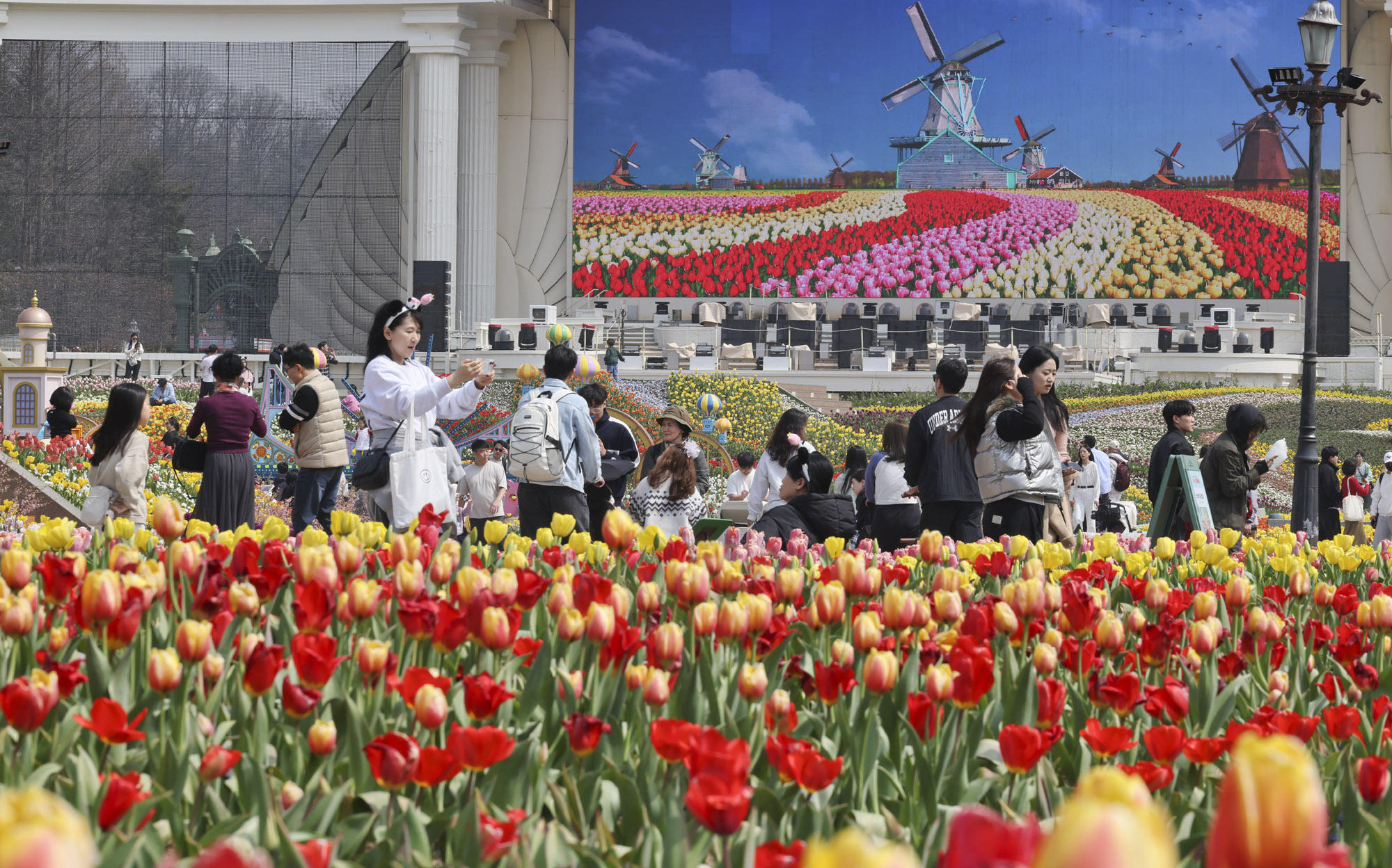 에버랜드;튤립;봄꽃