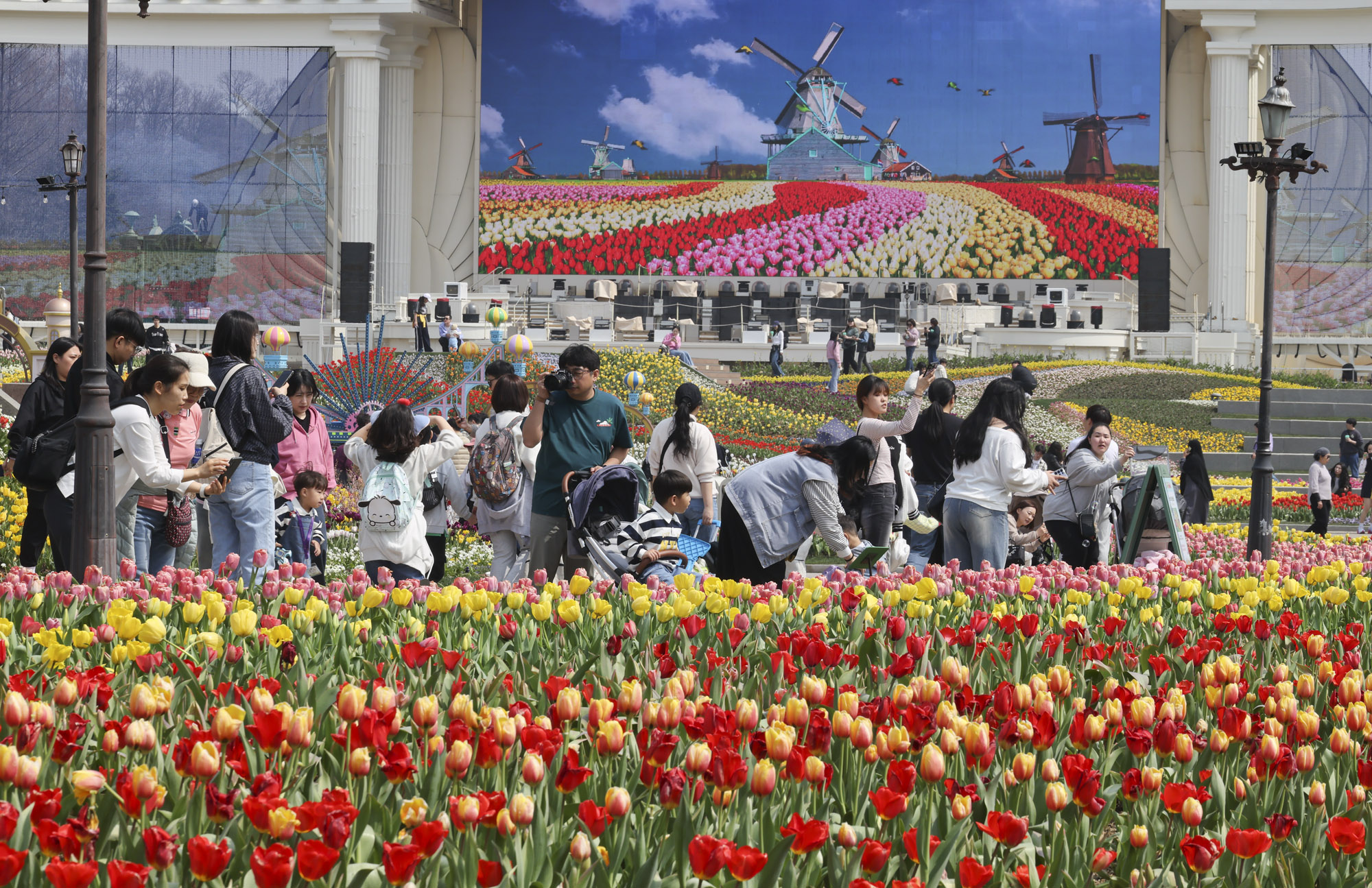 에버랜드;튤립;봄꽃