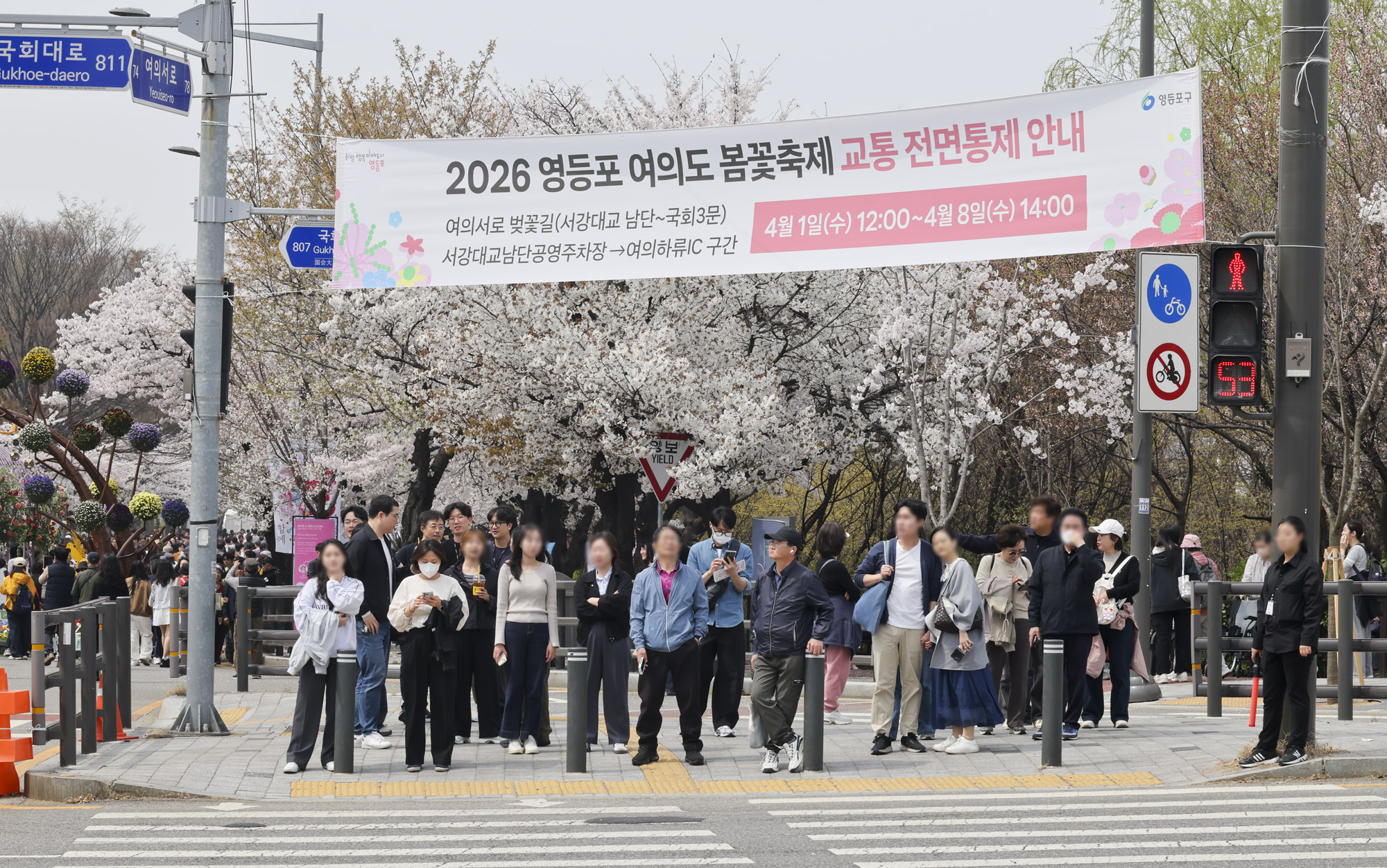 벚꽃축제;윤중로