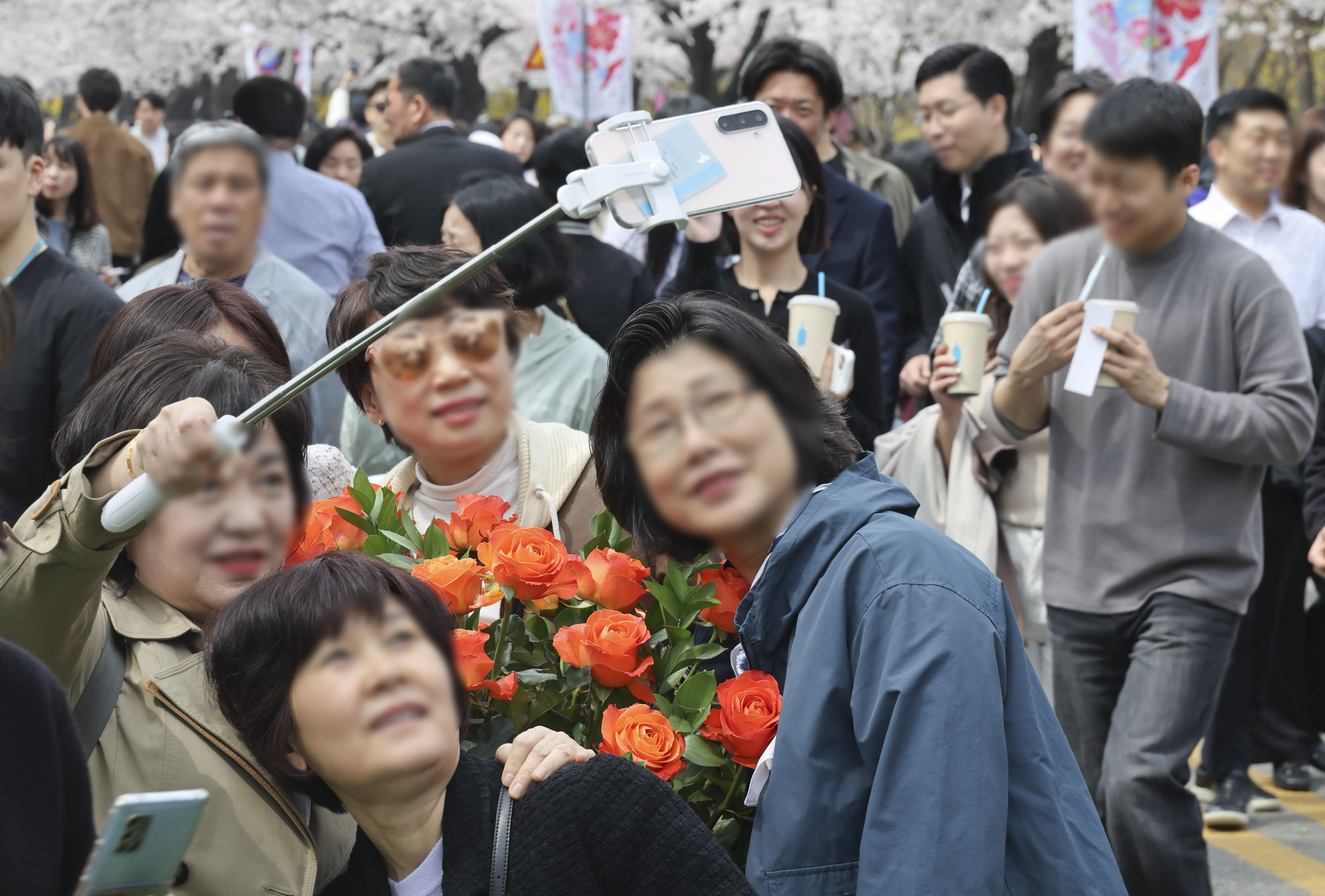 벚꽃축제;윤중로
