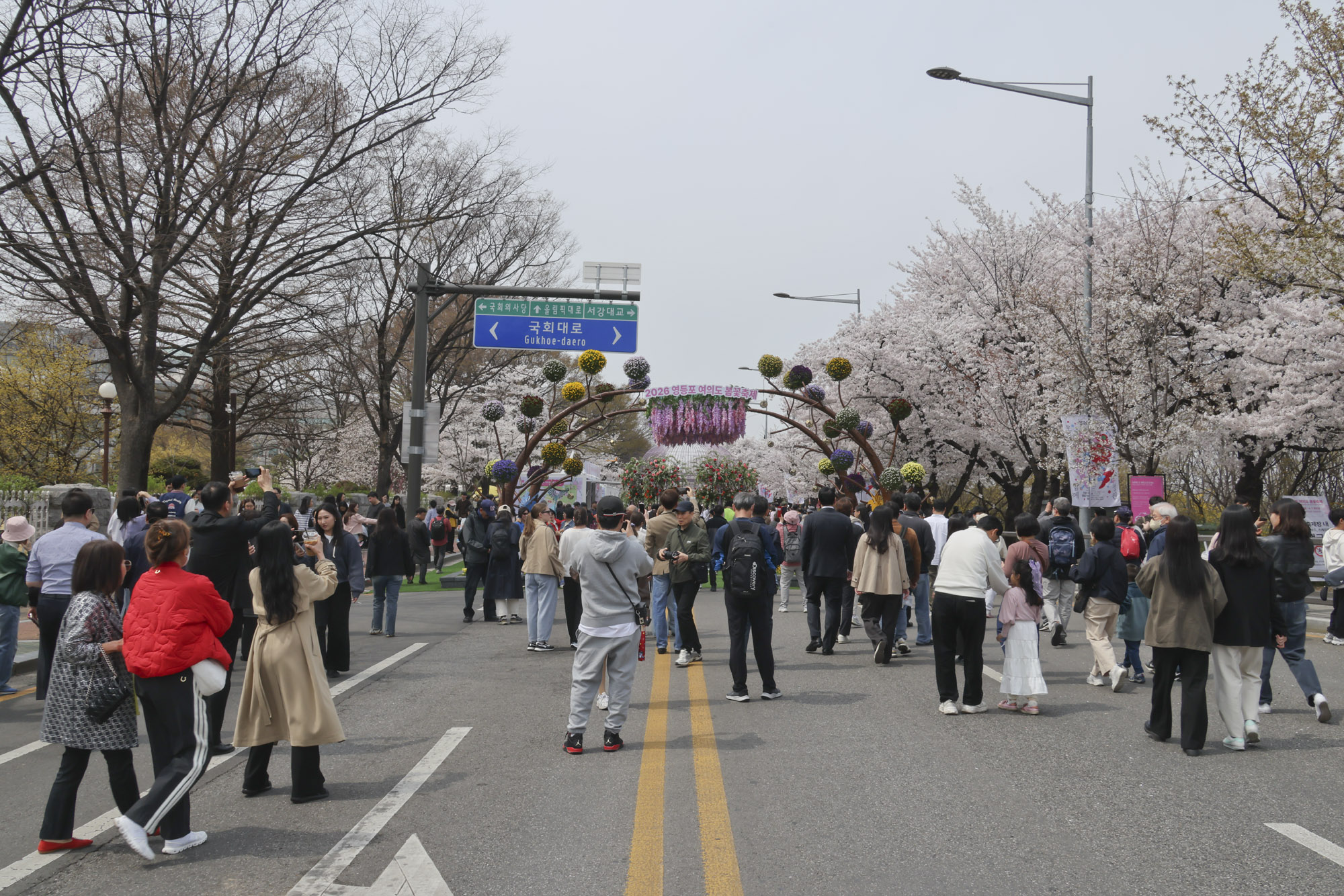 벚꽃축제;윤중로