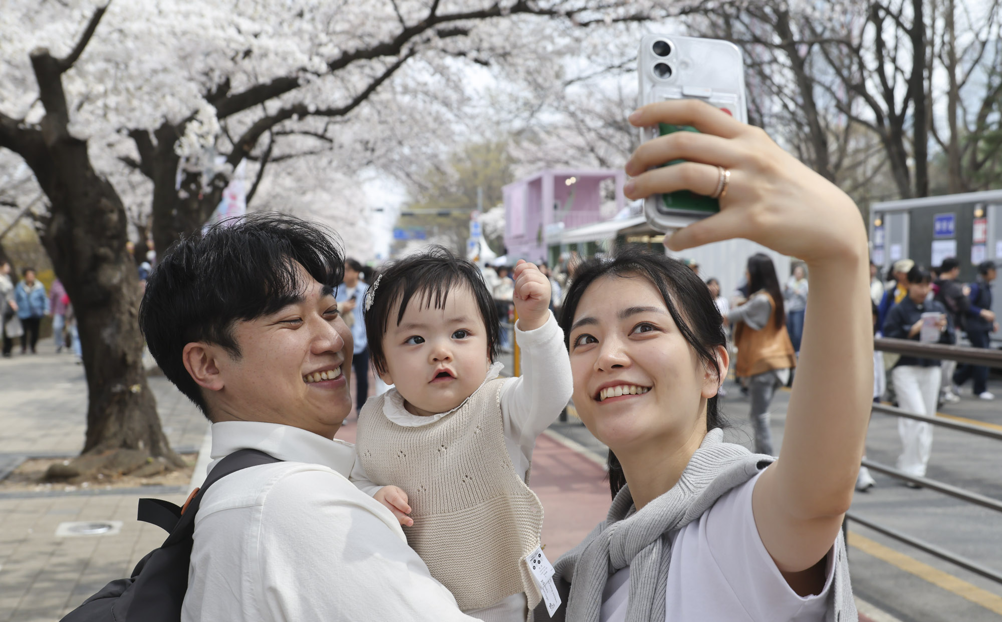 벚꽃축제;윤중로