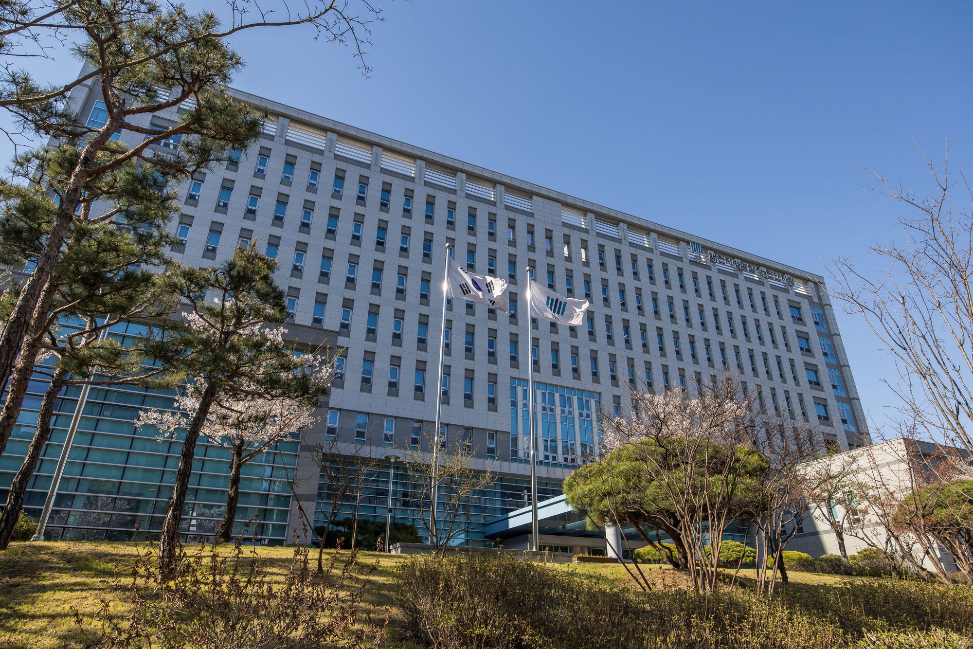 사회;법조;검찰;검사;검찰청;대전지방검찰청천안지청;안미현검사;대전지검천안지청;대전지검천안지청사건적체;검사엑소더스;파산지청