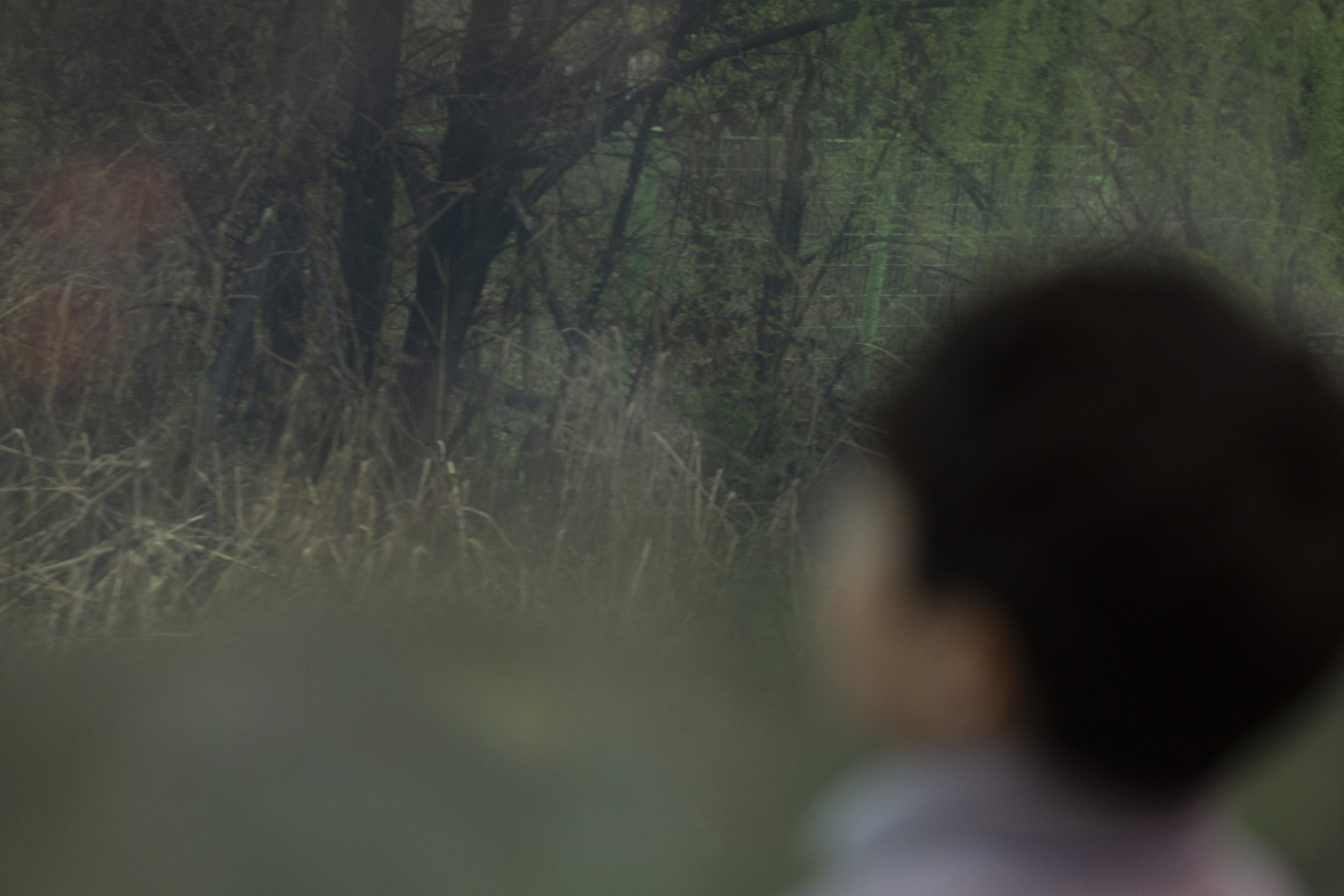 도라산역;평화;열차;통일;통일부;정동영