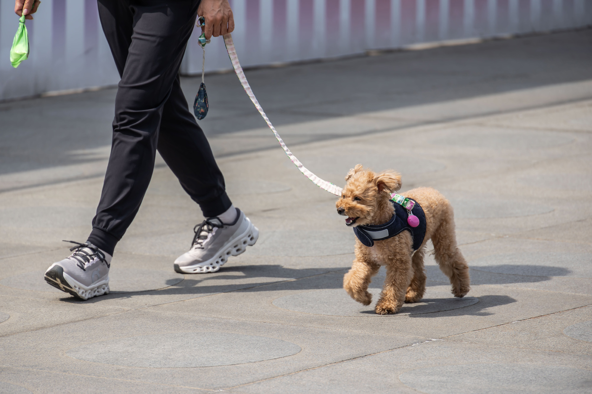 사회;세태;계절스케치;봄스케치;초여름날씨;이른더위스케치;무더위스케치;청계천더위;광화문광장더위;기상이변