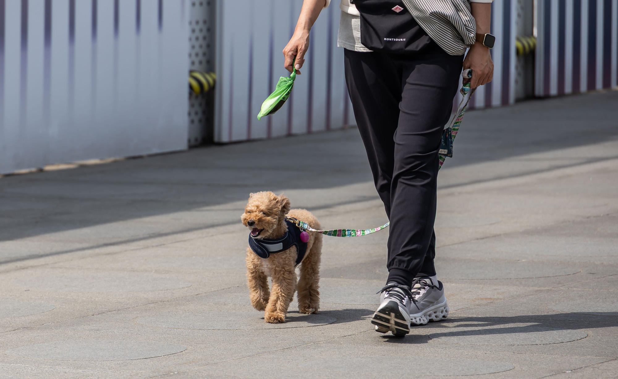 사회;세태;계절스케치;봄스케치;초여름날씨;이른더위스케치;무더위스케치;청계천더위;광화문광장더위;기상이변