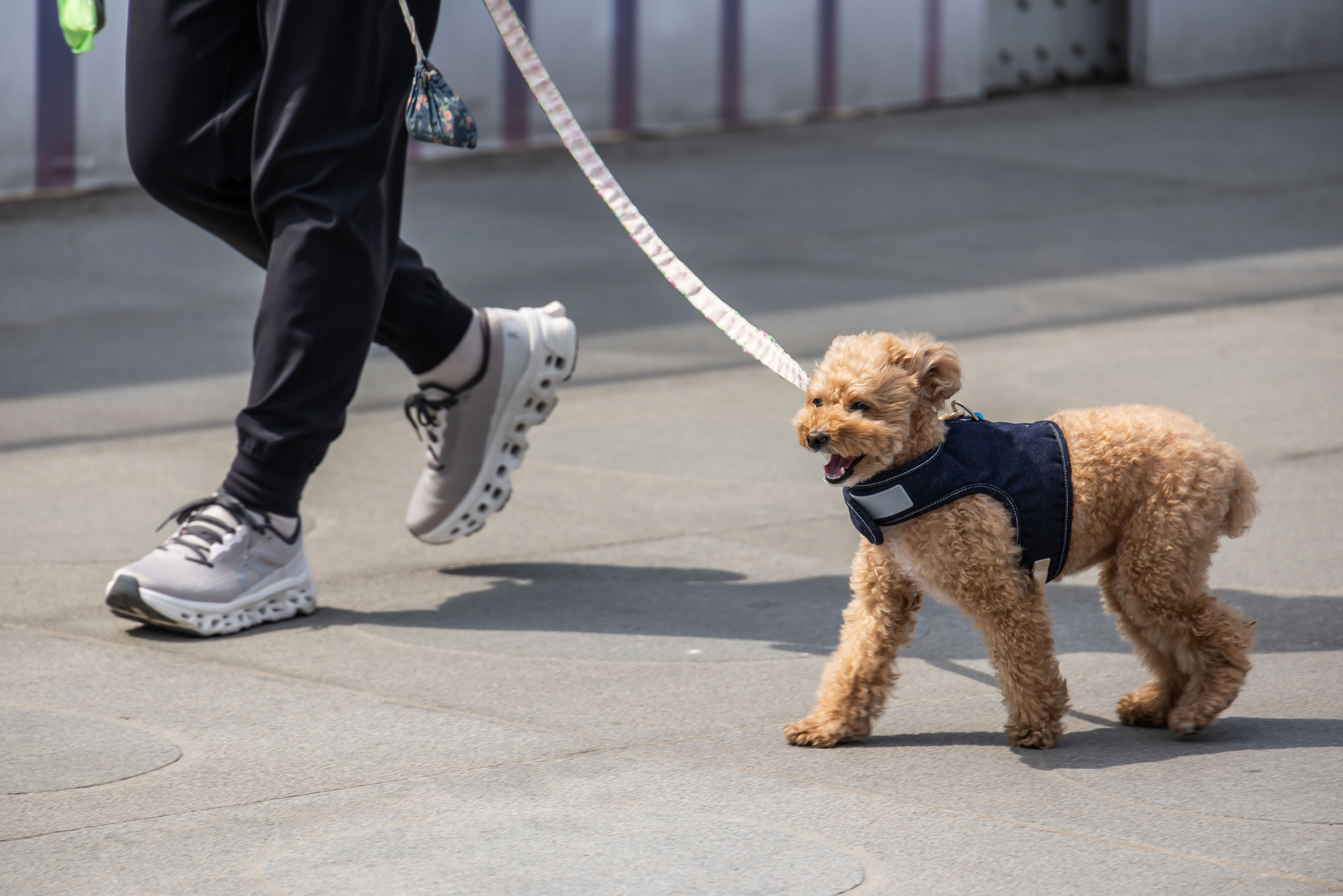 사회;세태;계절스케치;봄스케치;초여름날씨;이른더위스케치;무더위스케치;청계천더위;광화문광장더위;기상이변
