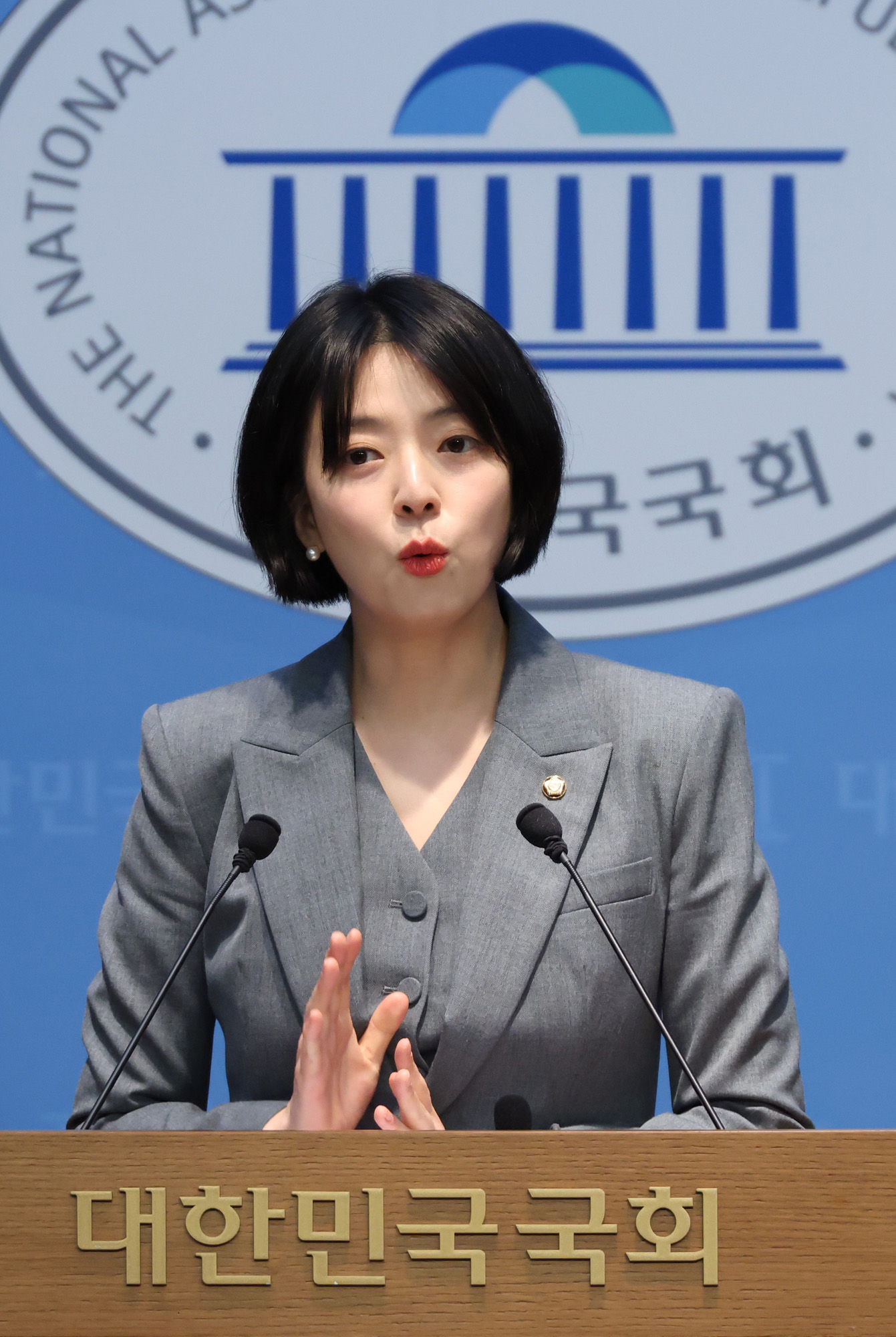 정치;국회;배현진