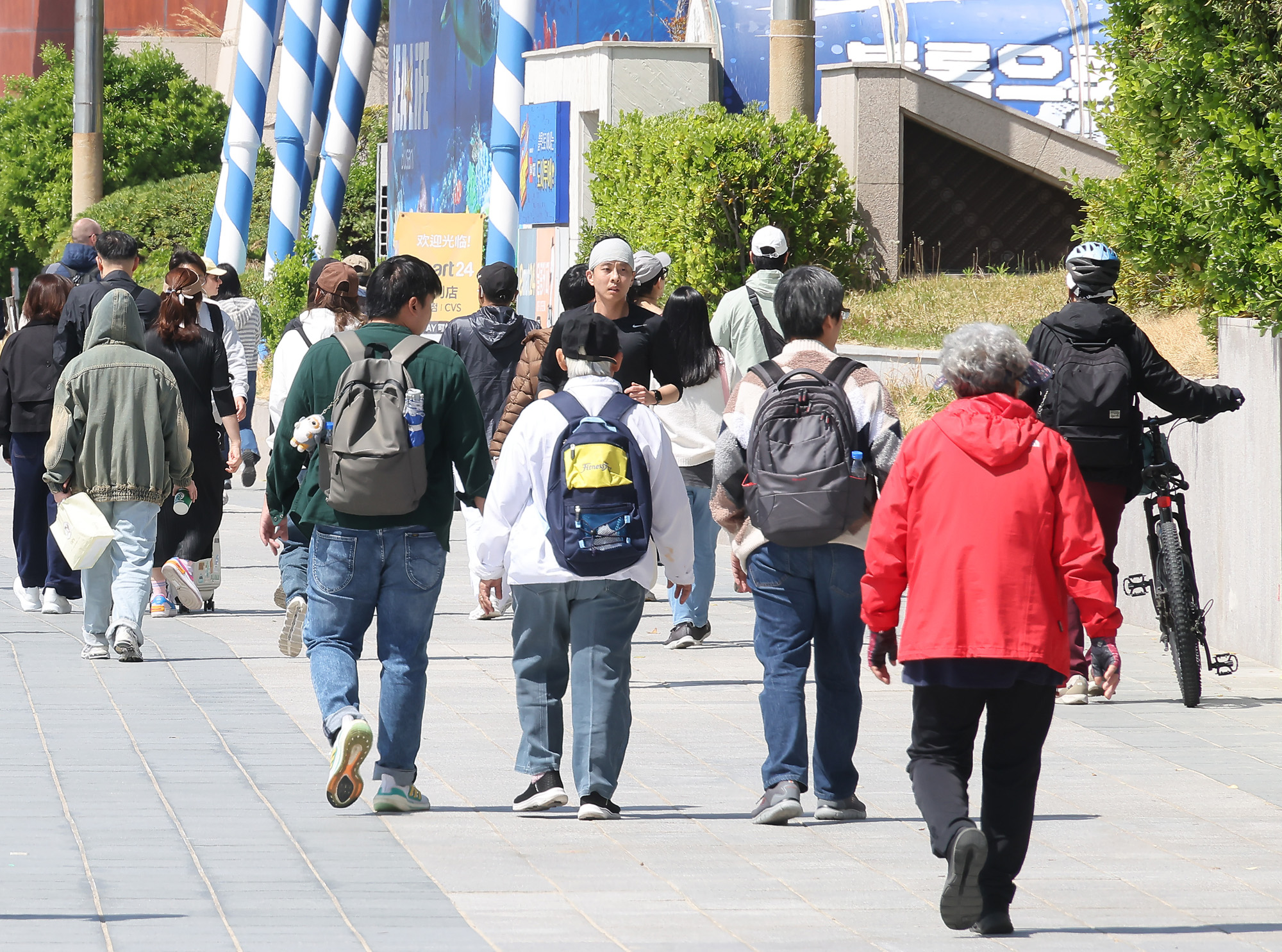 부산;해운대;지방선거;민심;선거;6.3