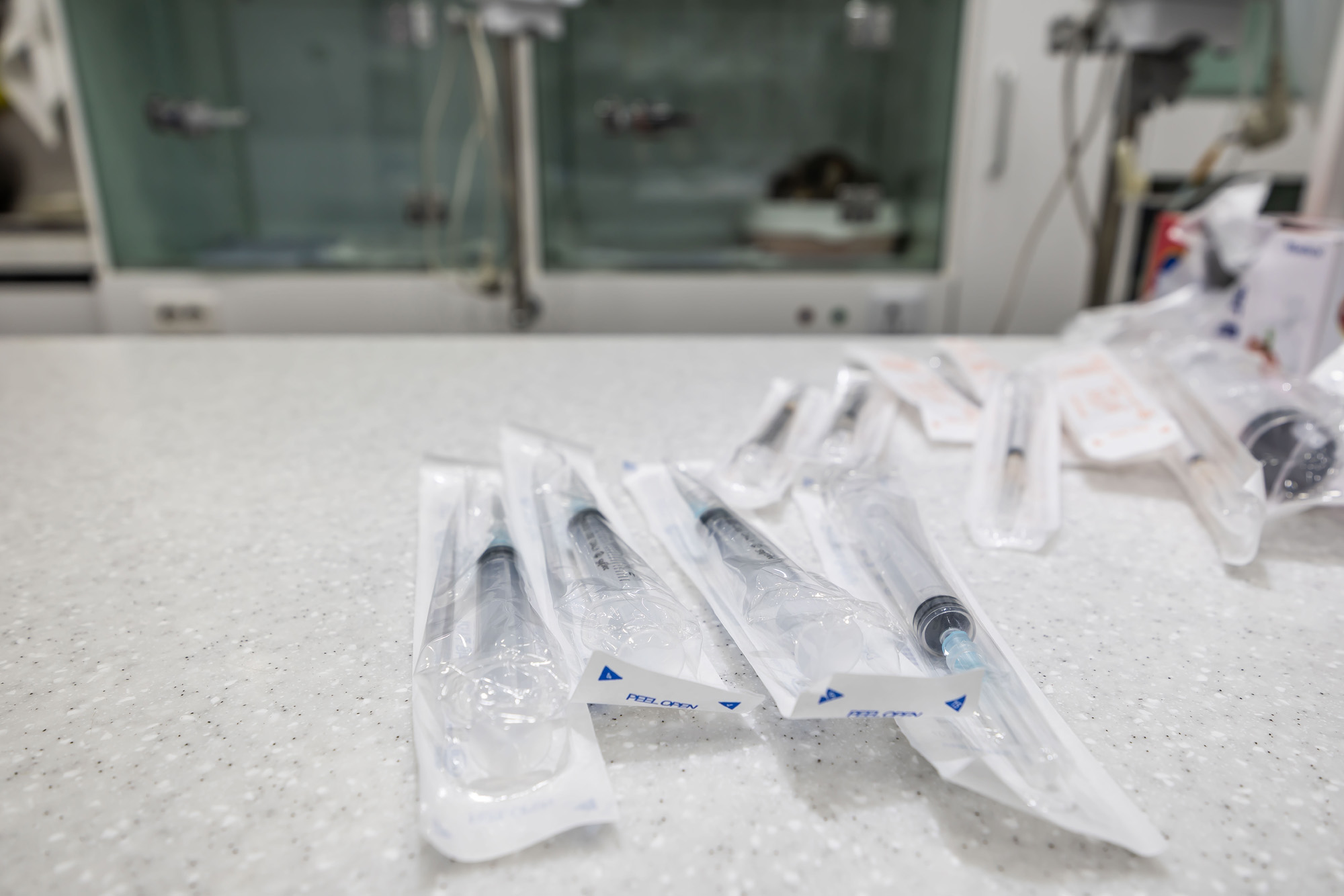 사회;세태;중동사태;중동정세불안;나프타대란;주사기대란;주사기부족;동물병원주사기부족;동물병원주사기대란
