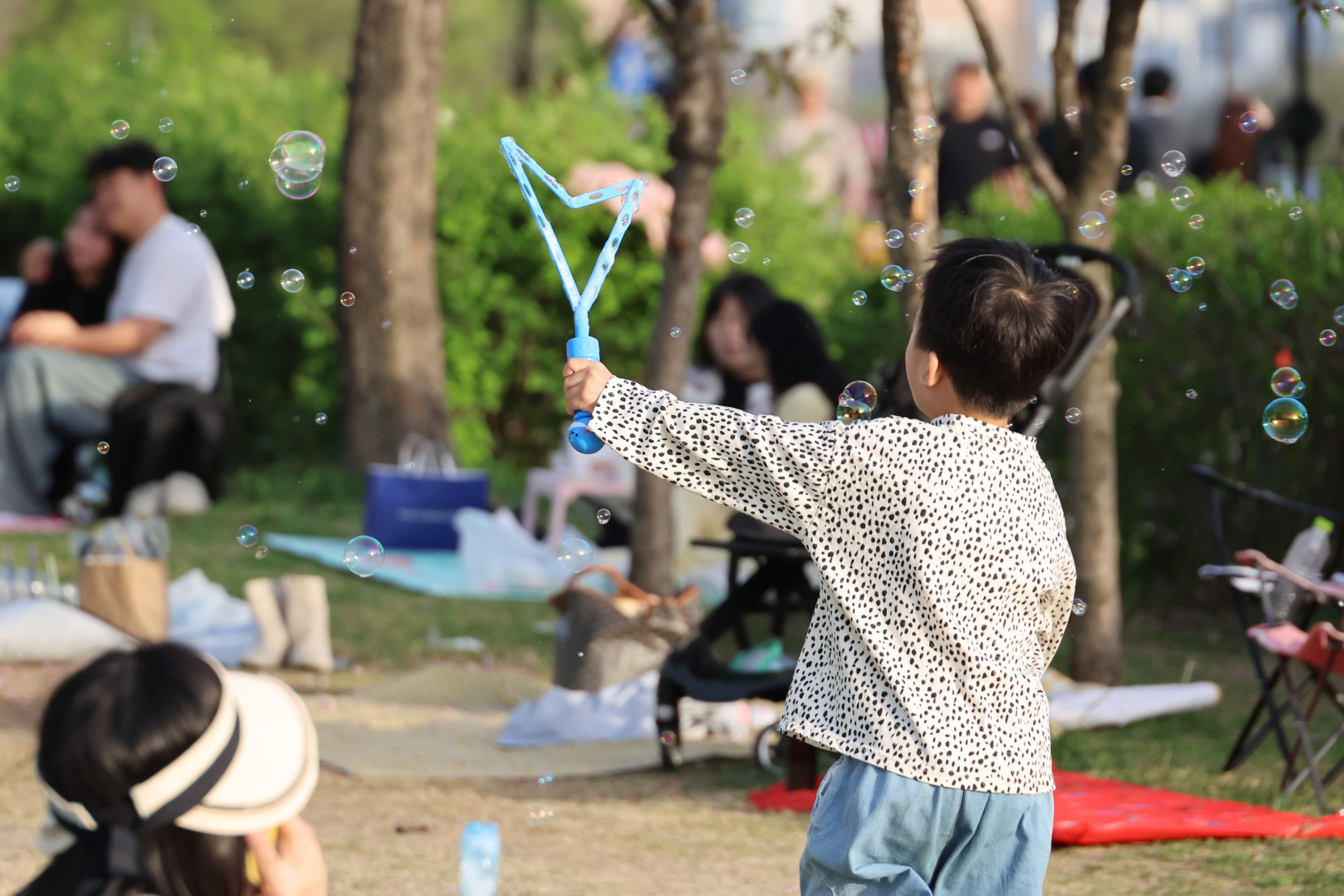 사회;문화;여의도한강공원;물빛광장;서울스프링페스티벌;한강회전목마;회전목마시그니처쇼;한강봄나들이;한강소풍;여의도물빛광장물놀이