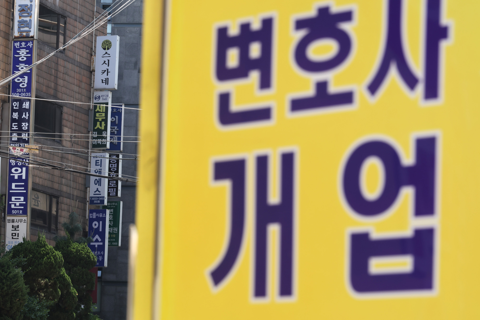 정치;사회;변호사사무소;서초동변호사;세무사;세무법인;세무회계사무소간판;변호사간판