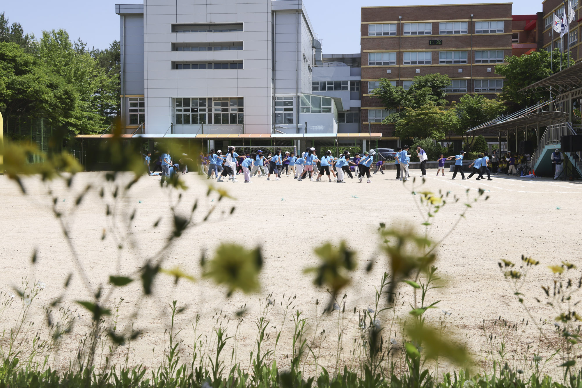 초등학교;운동회;체육대회